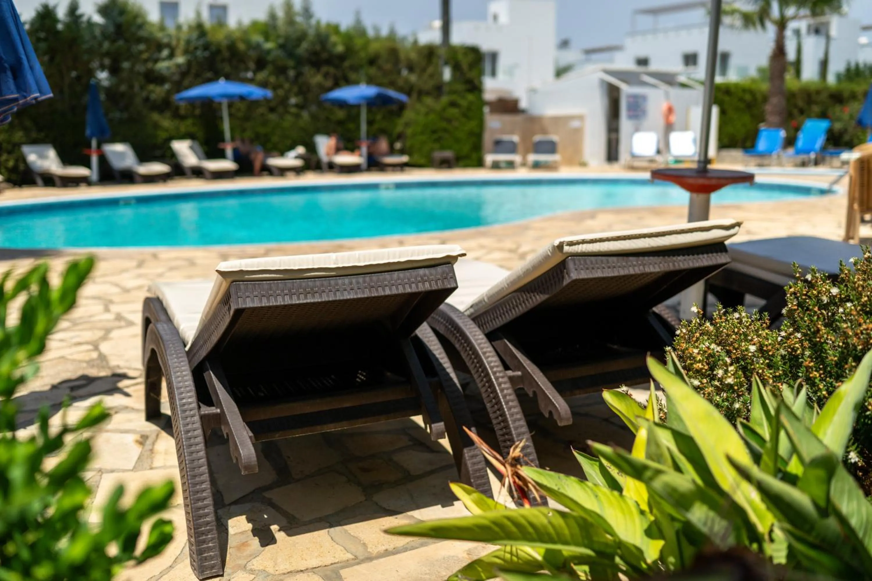 Swimming pool in Bellini Hotel