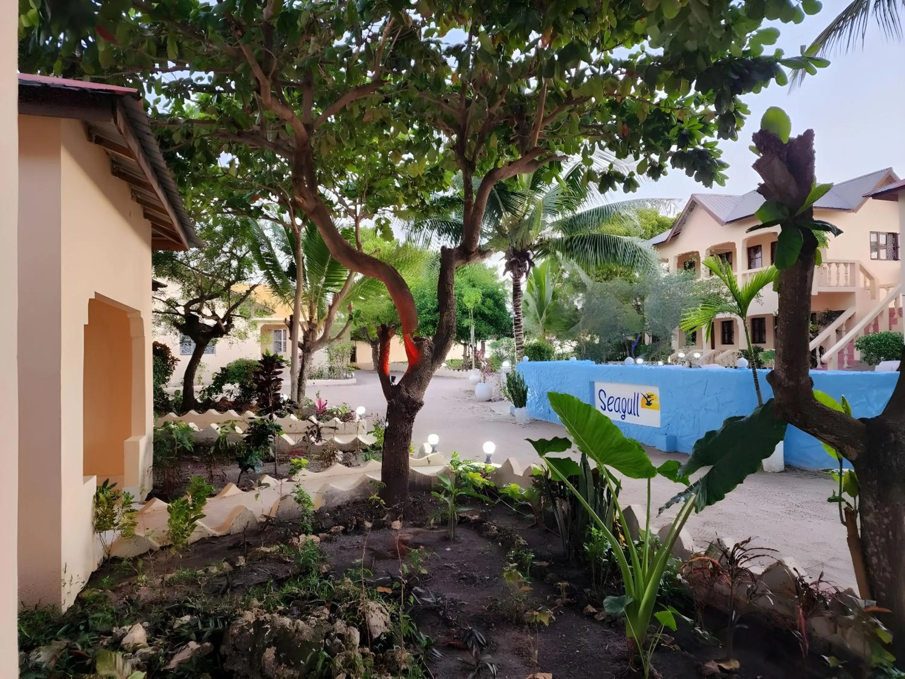 Garden in Seagull Nungwi Resort