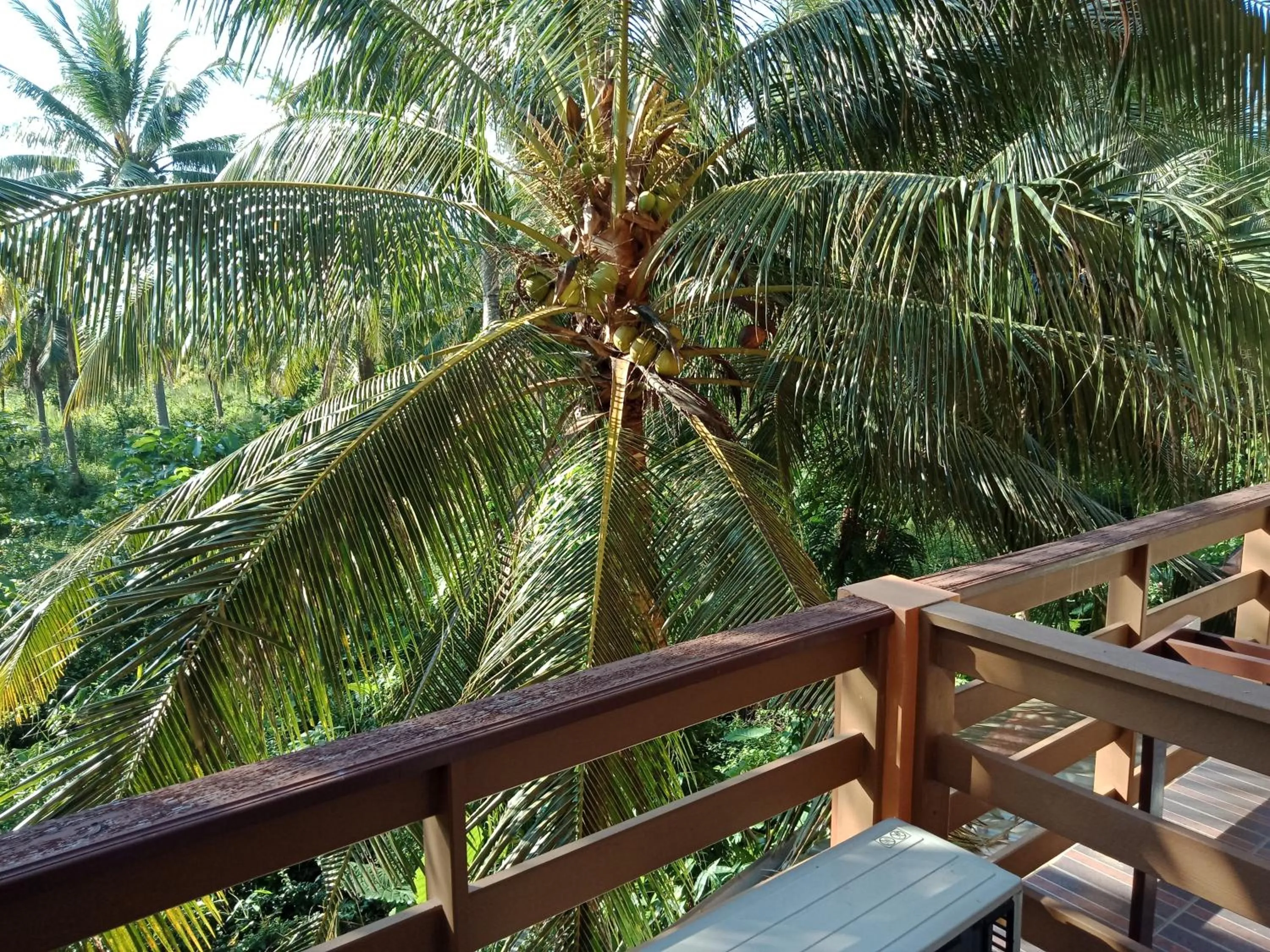 Location in N.D.Hotel