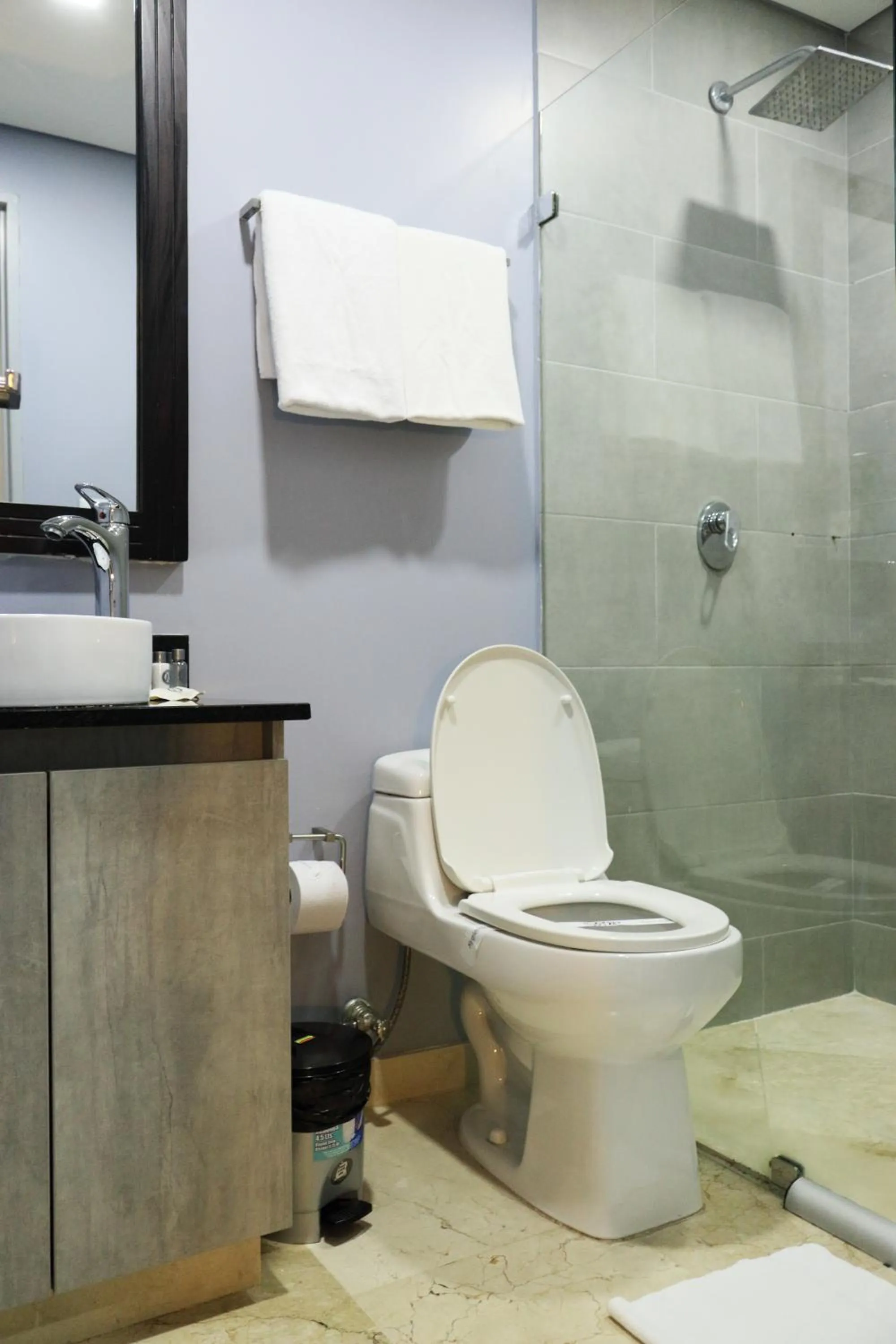 Bathroom in Hotel Lleras 10