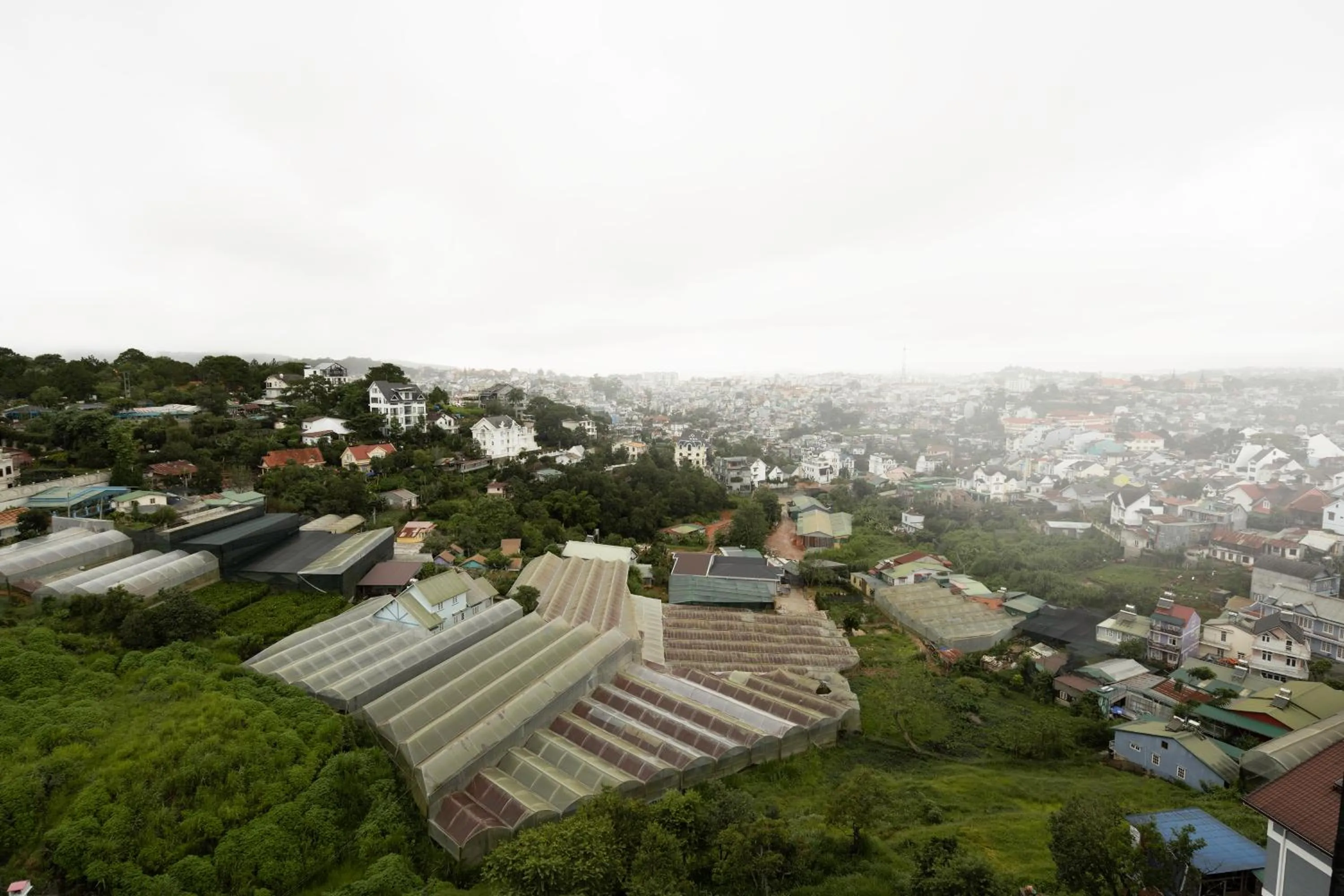 Natural landscape in The Manor Villas Da Lat
