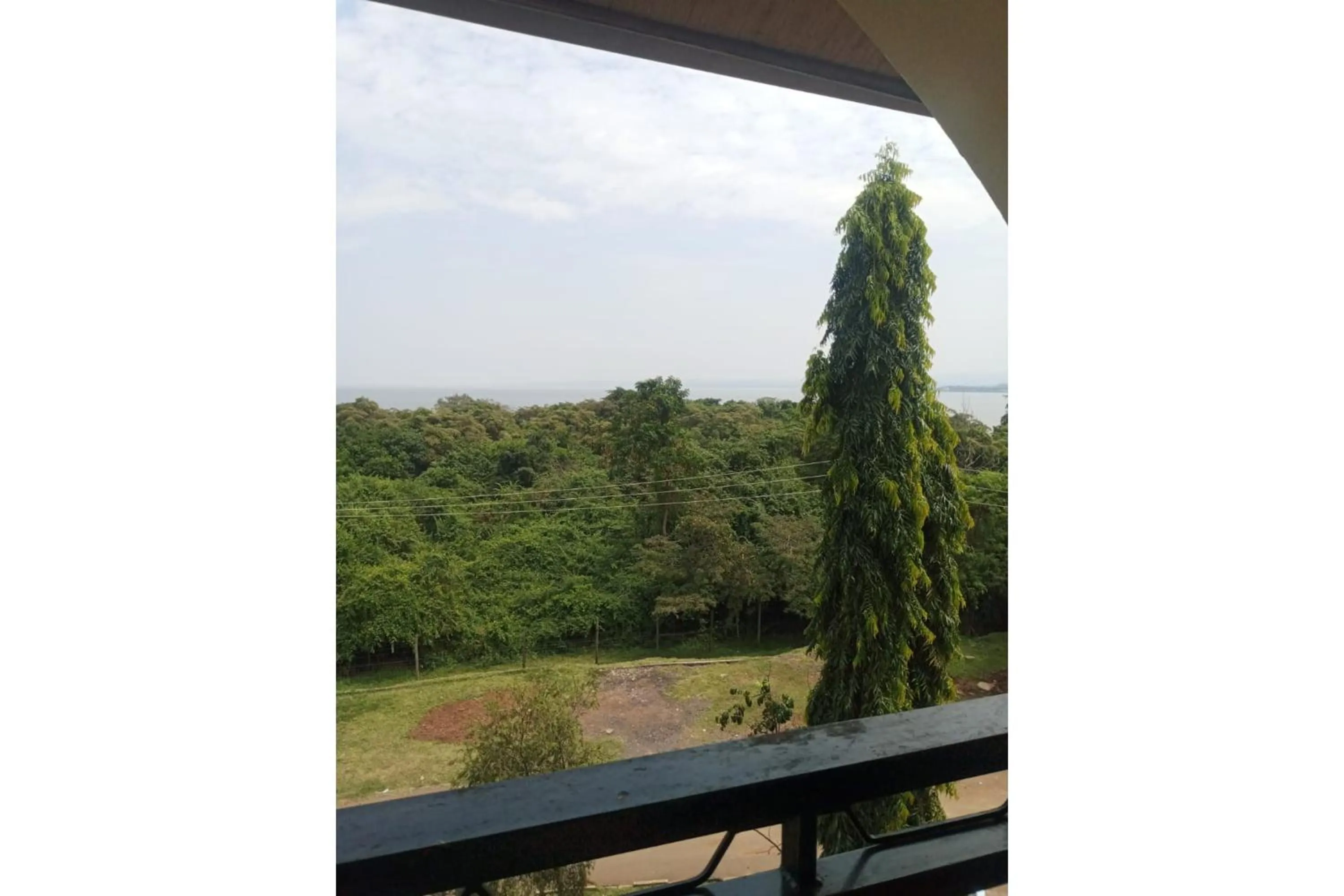 Day in Parkview Safari Hotel & Apartments