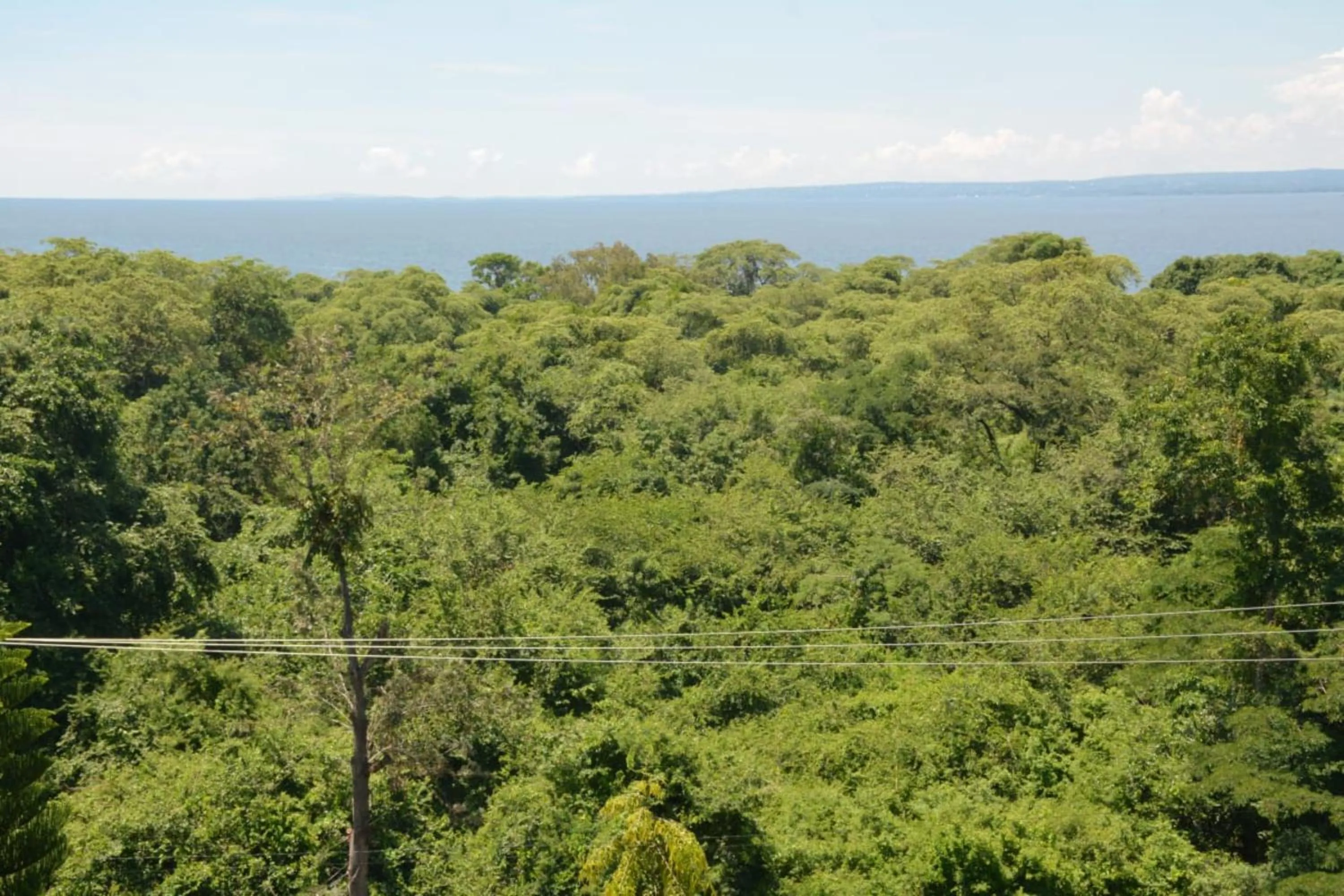 Day in Parkview Safari Hotel & Apartments