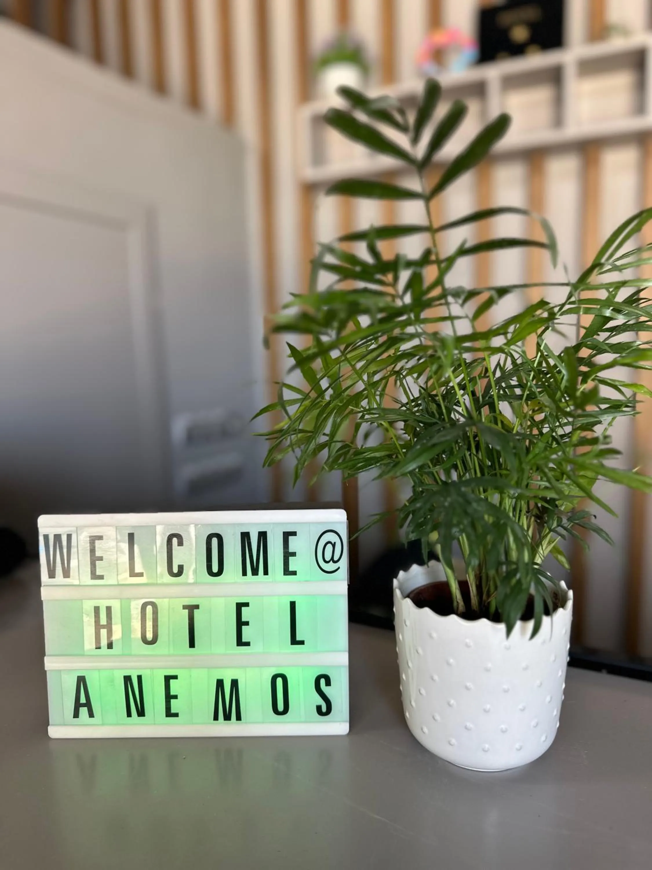 Decorative detail in Anemos