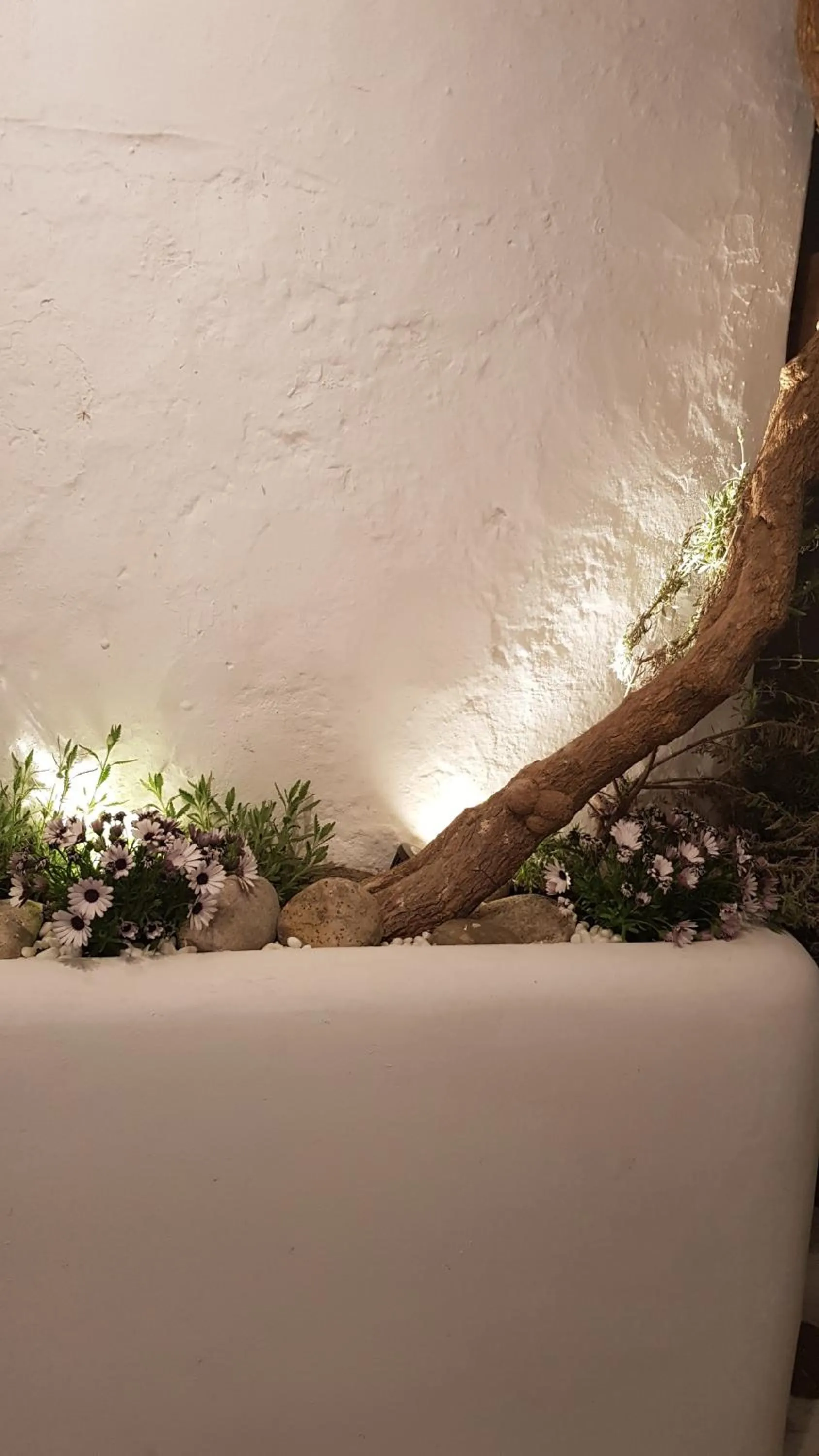 Property building in Lefteris