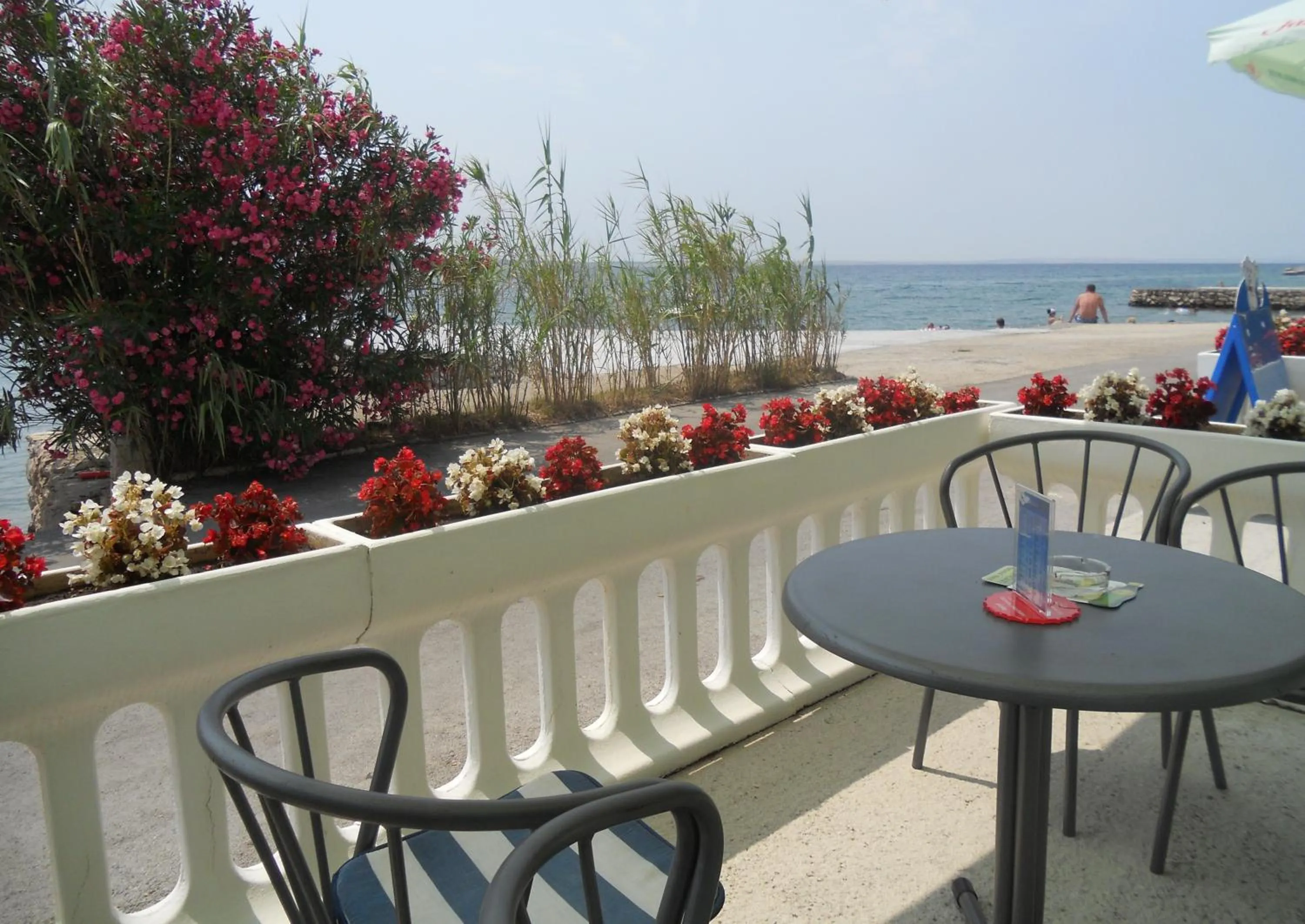 Patio in Bed and Breakfast MIRAMAR