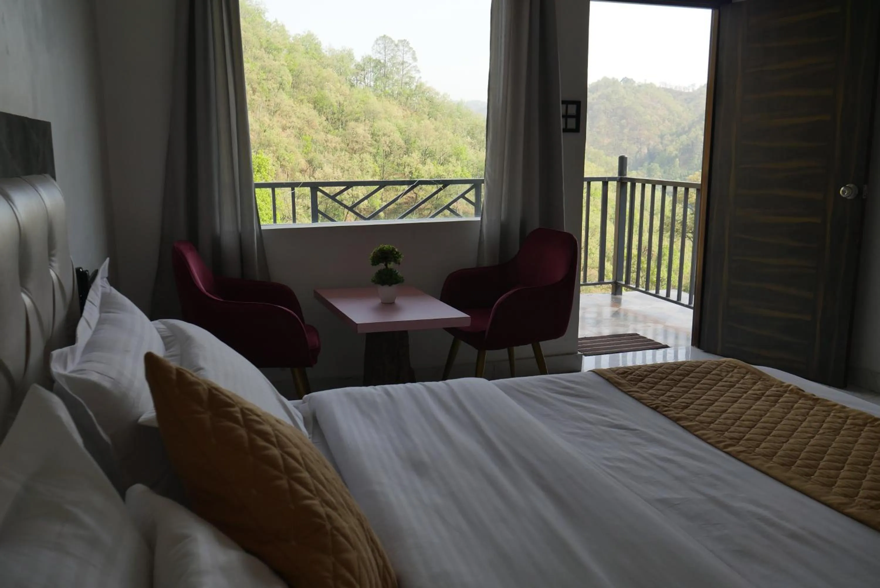 Mountain view, Bed in Cloud Forest