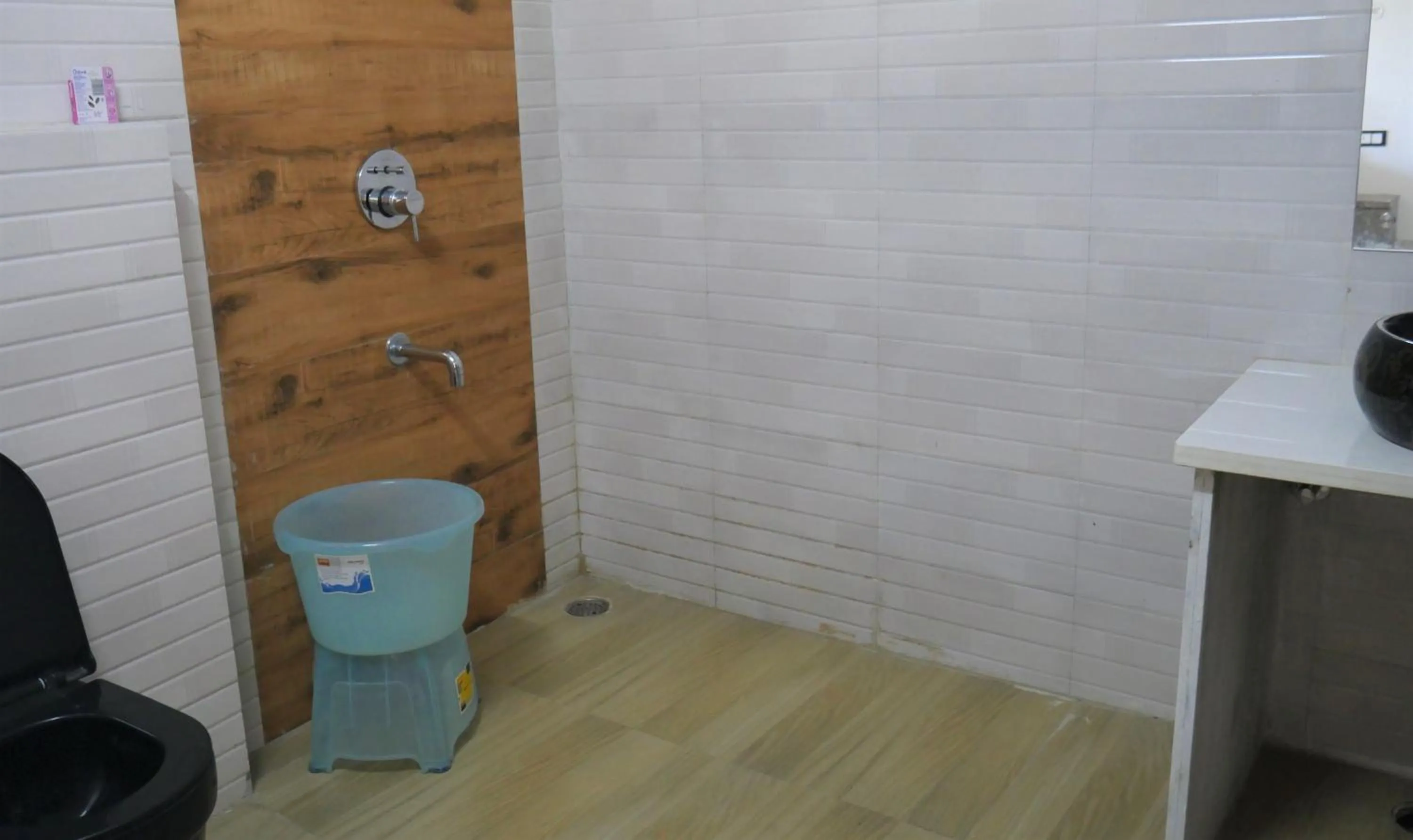 Bathroom in Cloud Forest