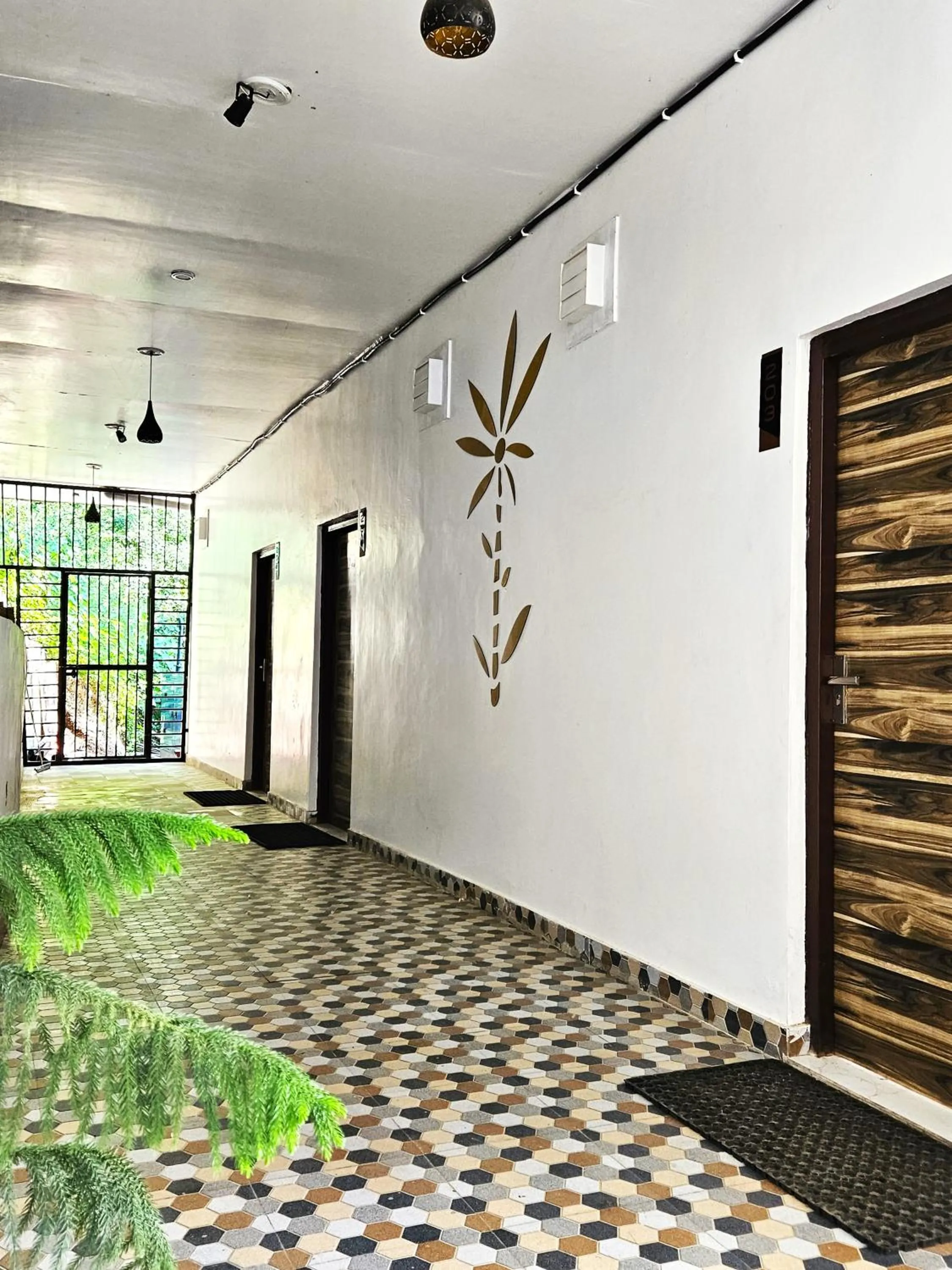 Other in Cloud Forest