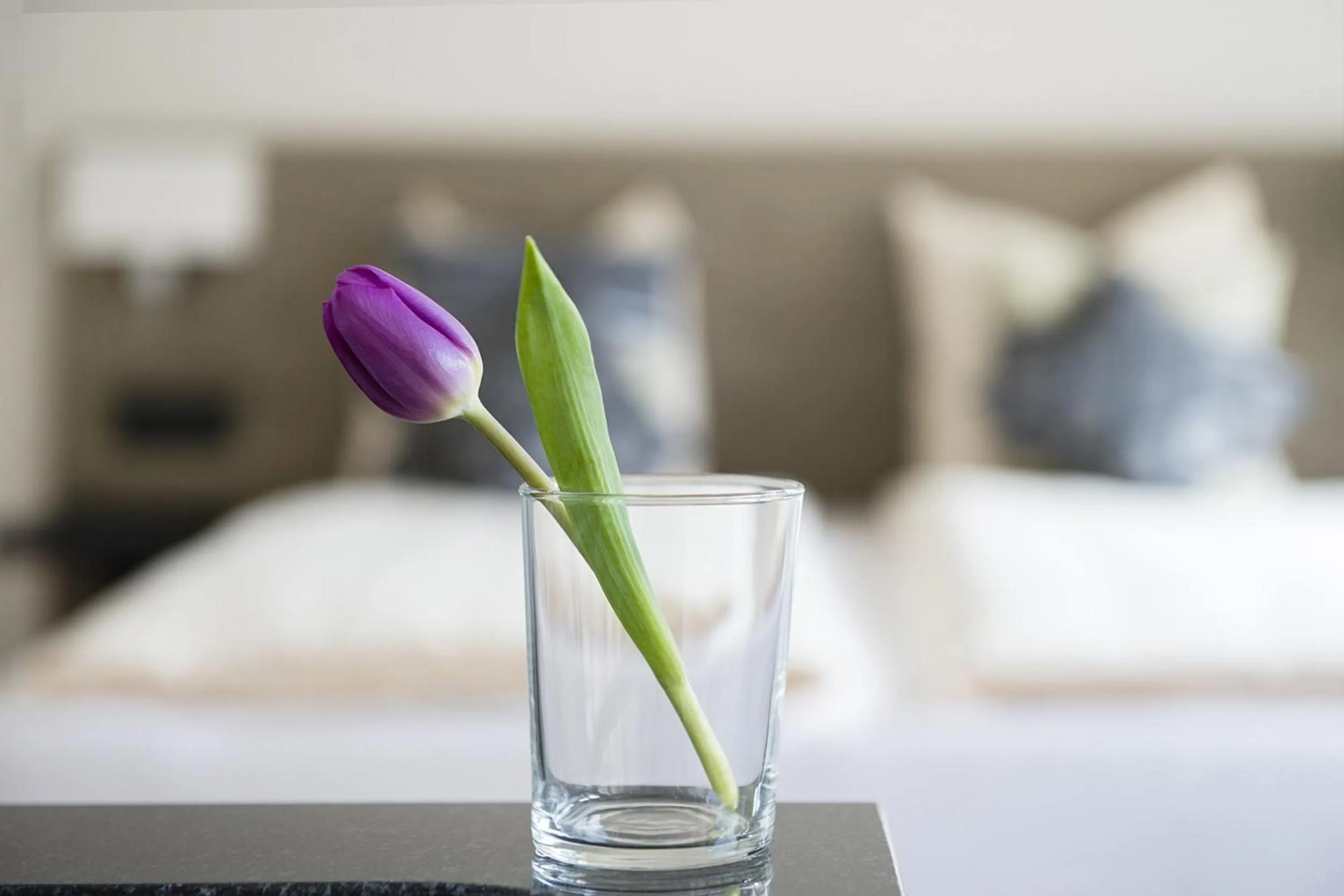 Bed in Swiss Star Longstreet - Self Check-In