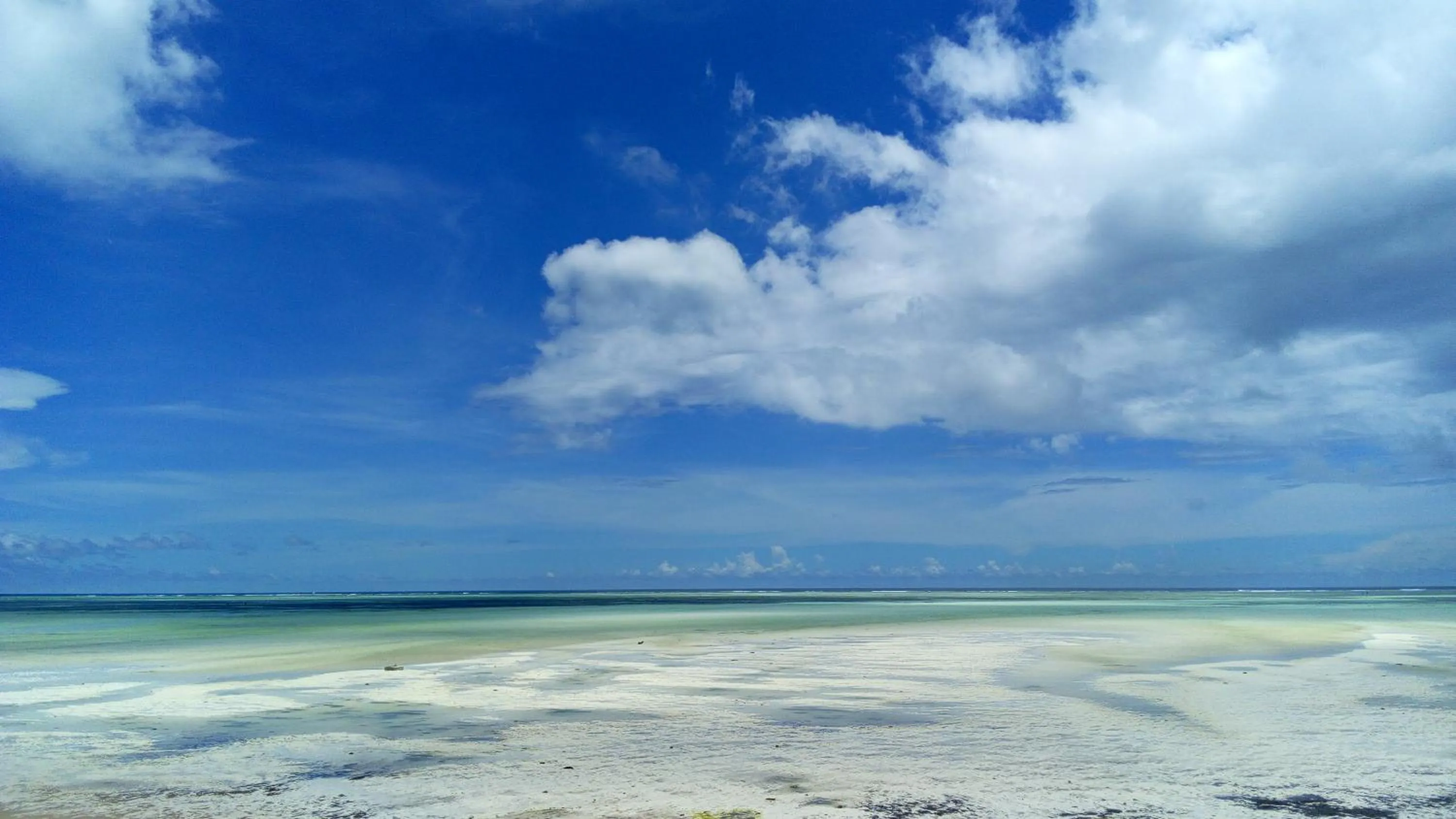 Beach in Zanzibar Bahari Villas