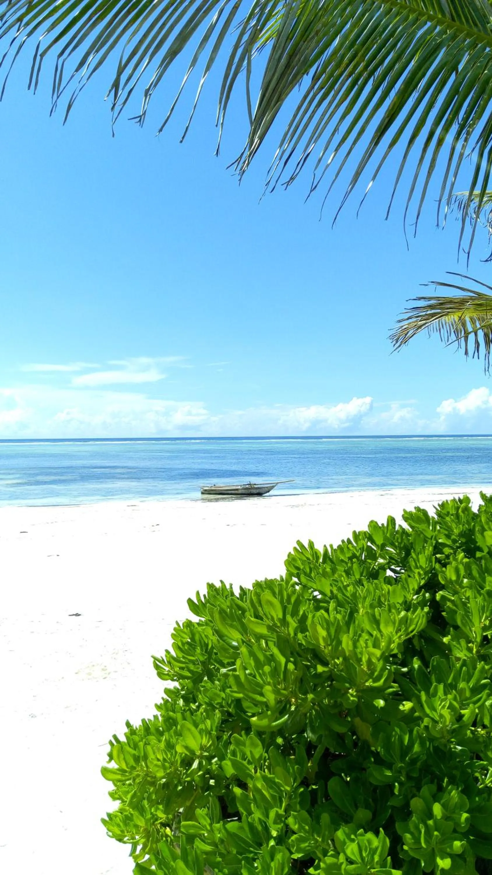 Day in Zanzibar Bahari Villas