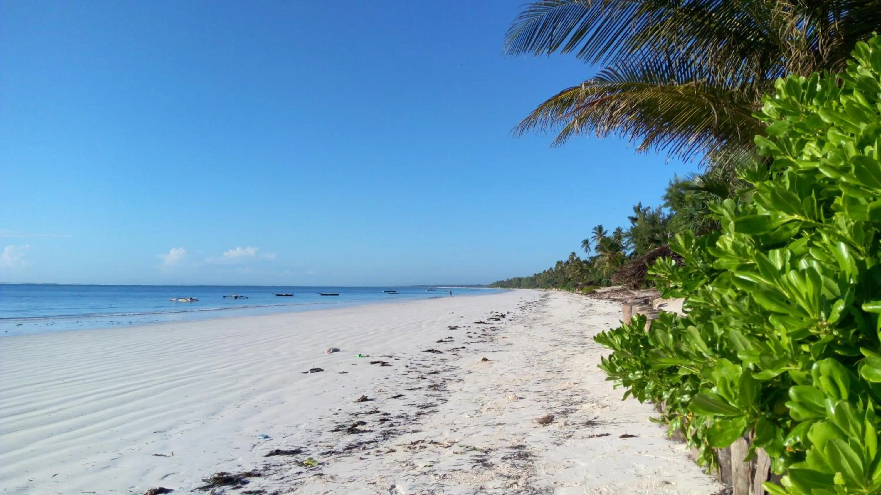 Beach in Zanzibar Bahari Villas