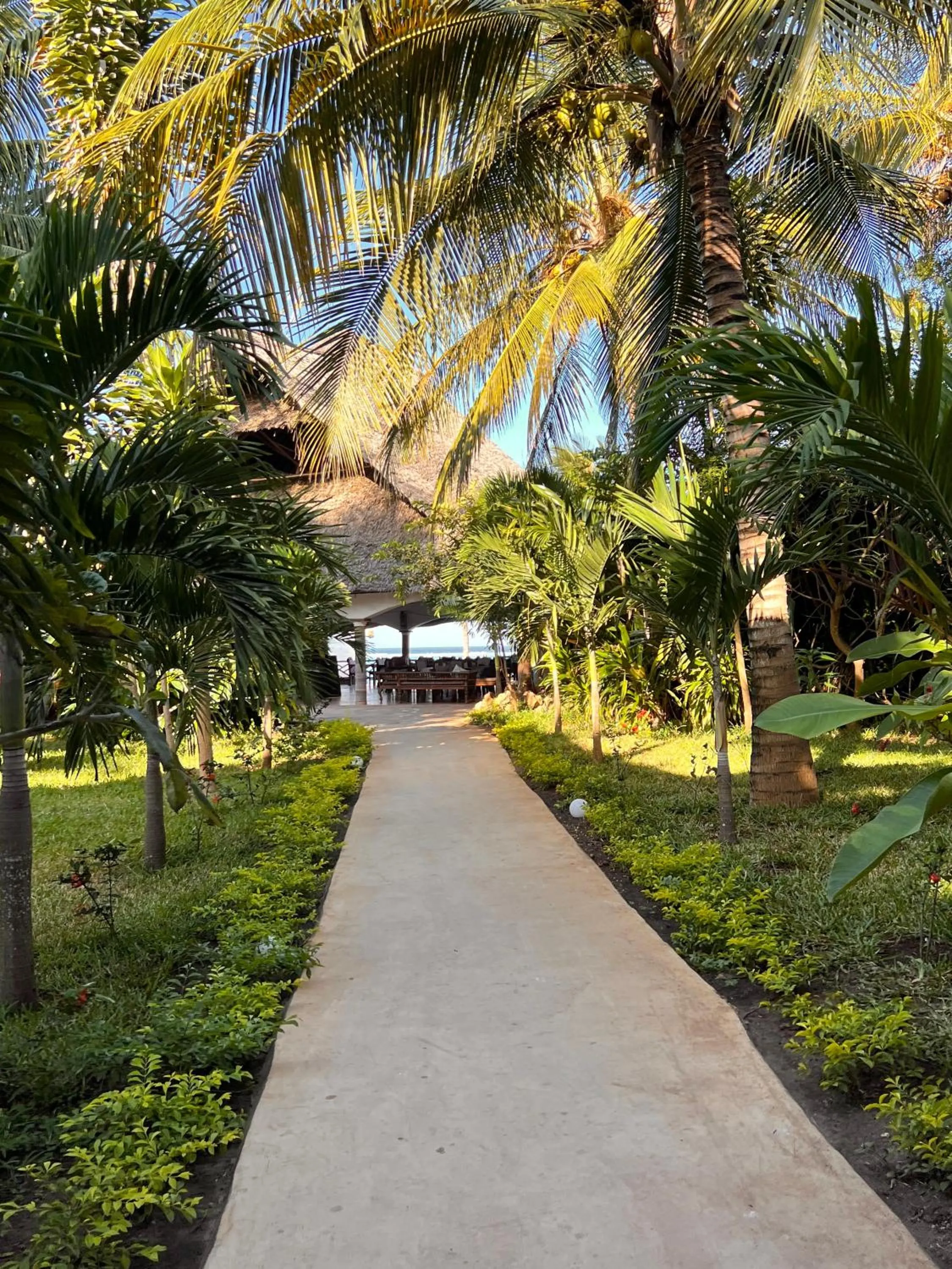 Natural landscape in Zanzibar Bahari Villas