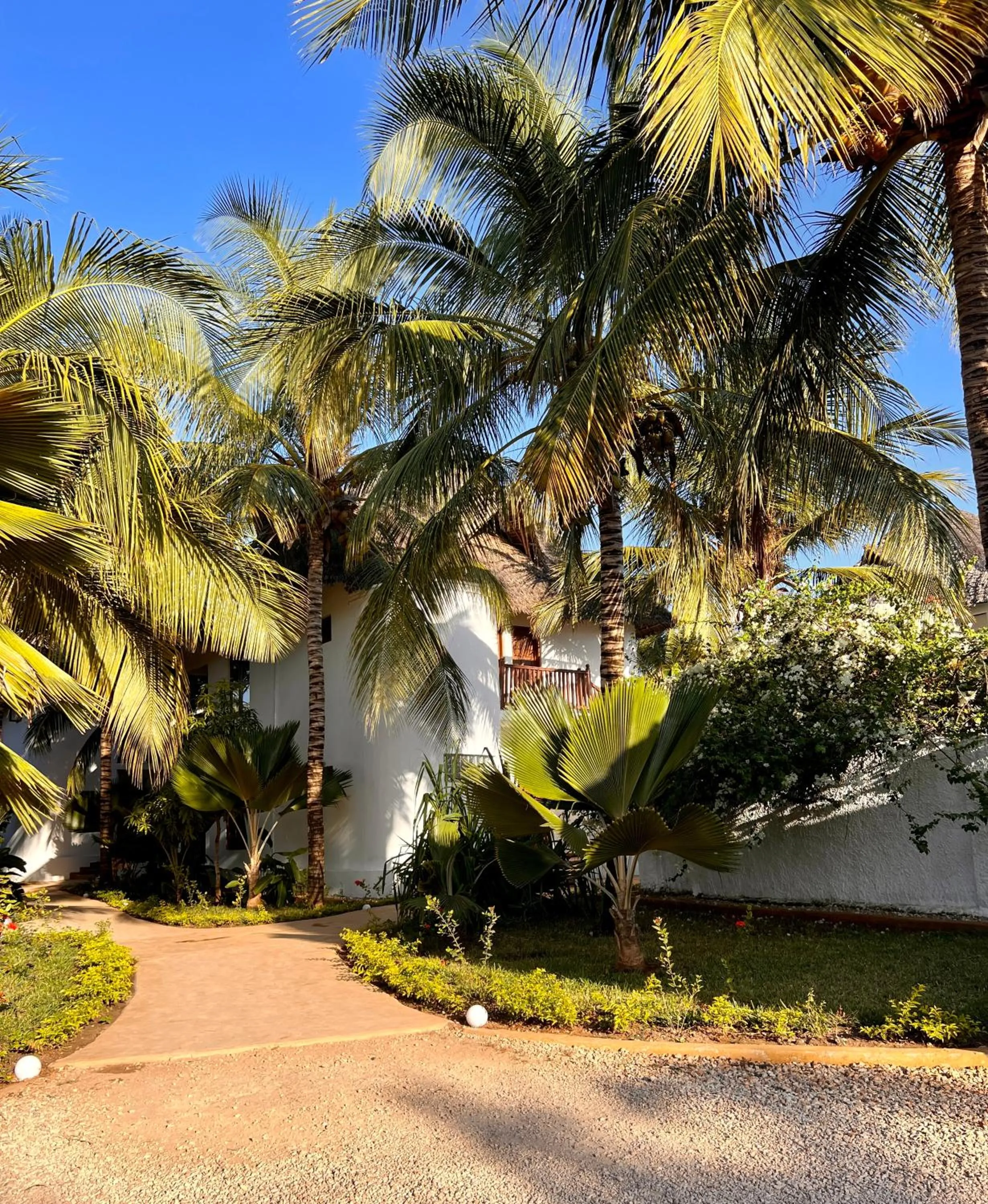 Garden in Zanzibar Bahari Villas