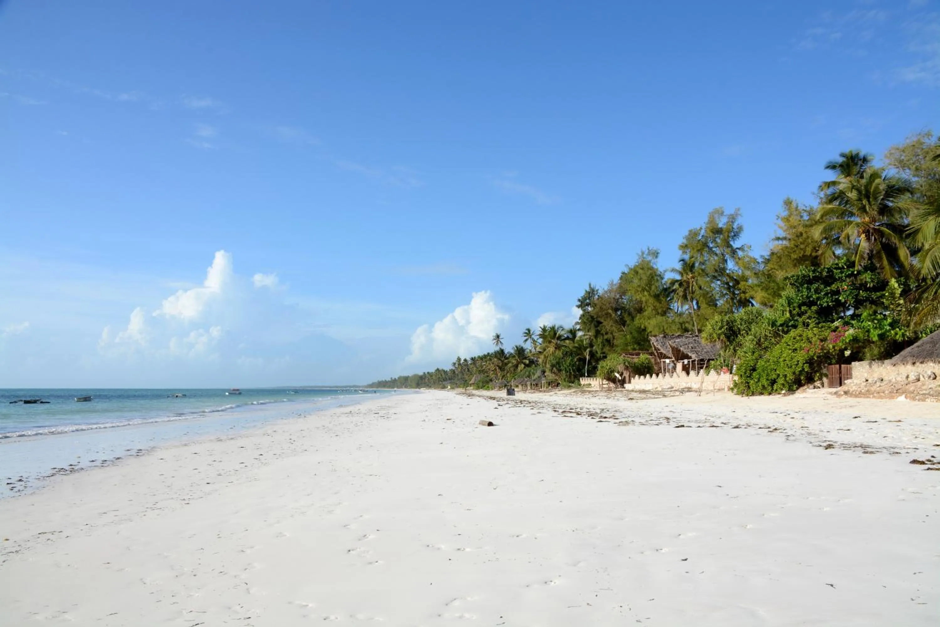 Beach in Zanzibar Bahari Villas