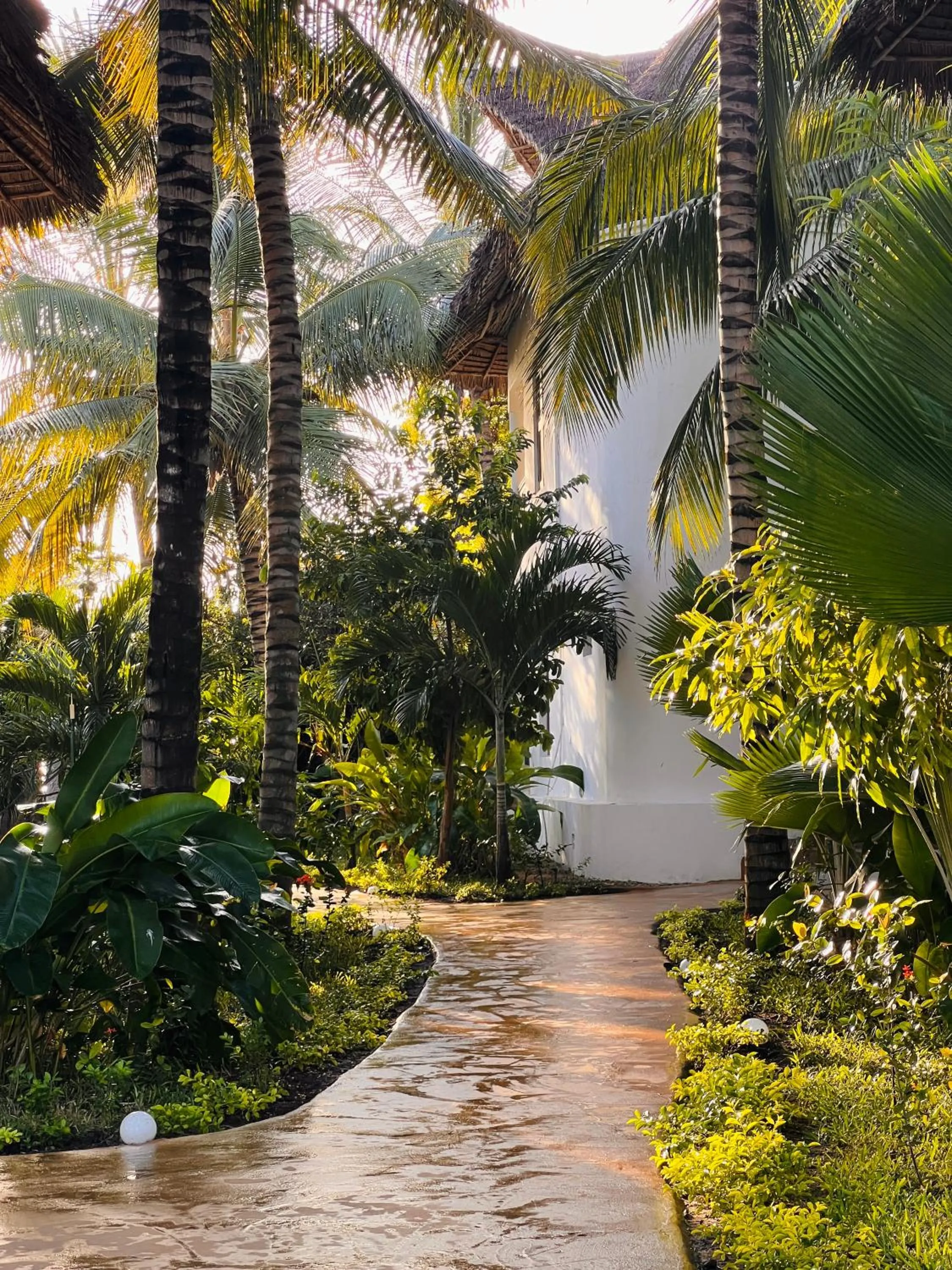 Garden in Zanzibar Bahari Villas