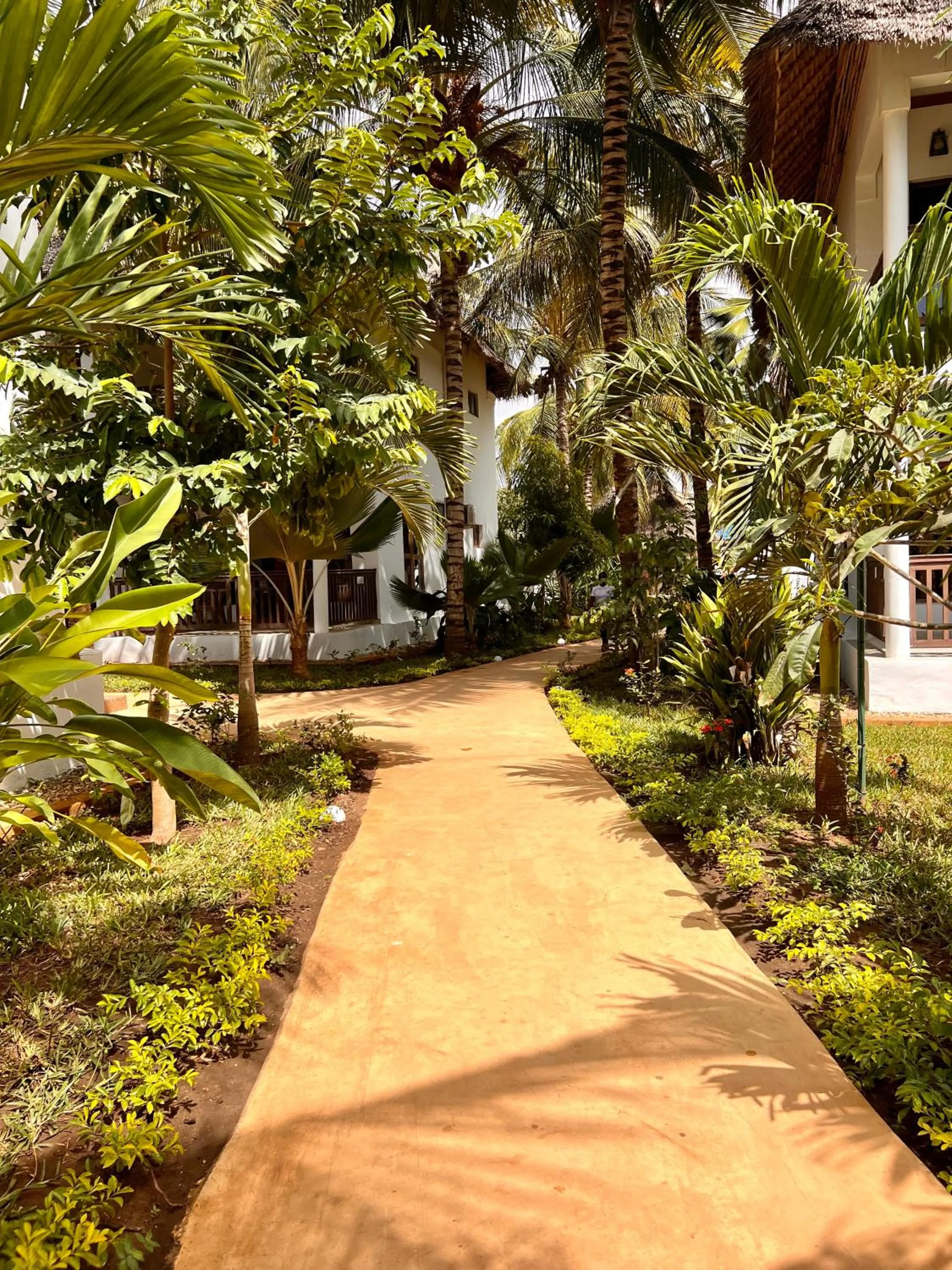 Garden view in Zanzibar Bahari Villas