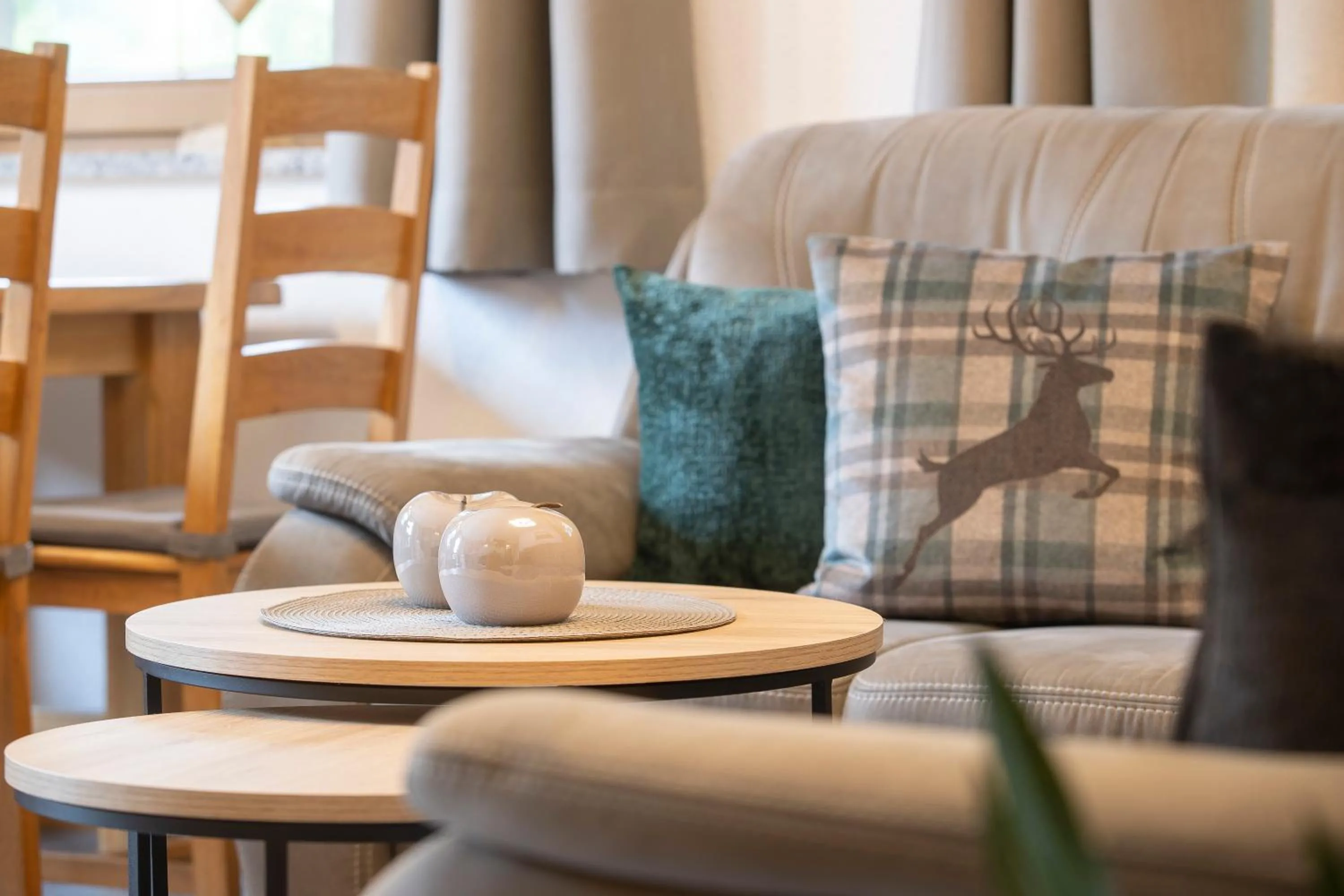 Living room in Ibex Apart