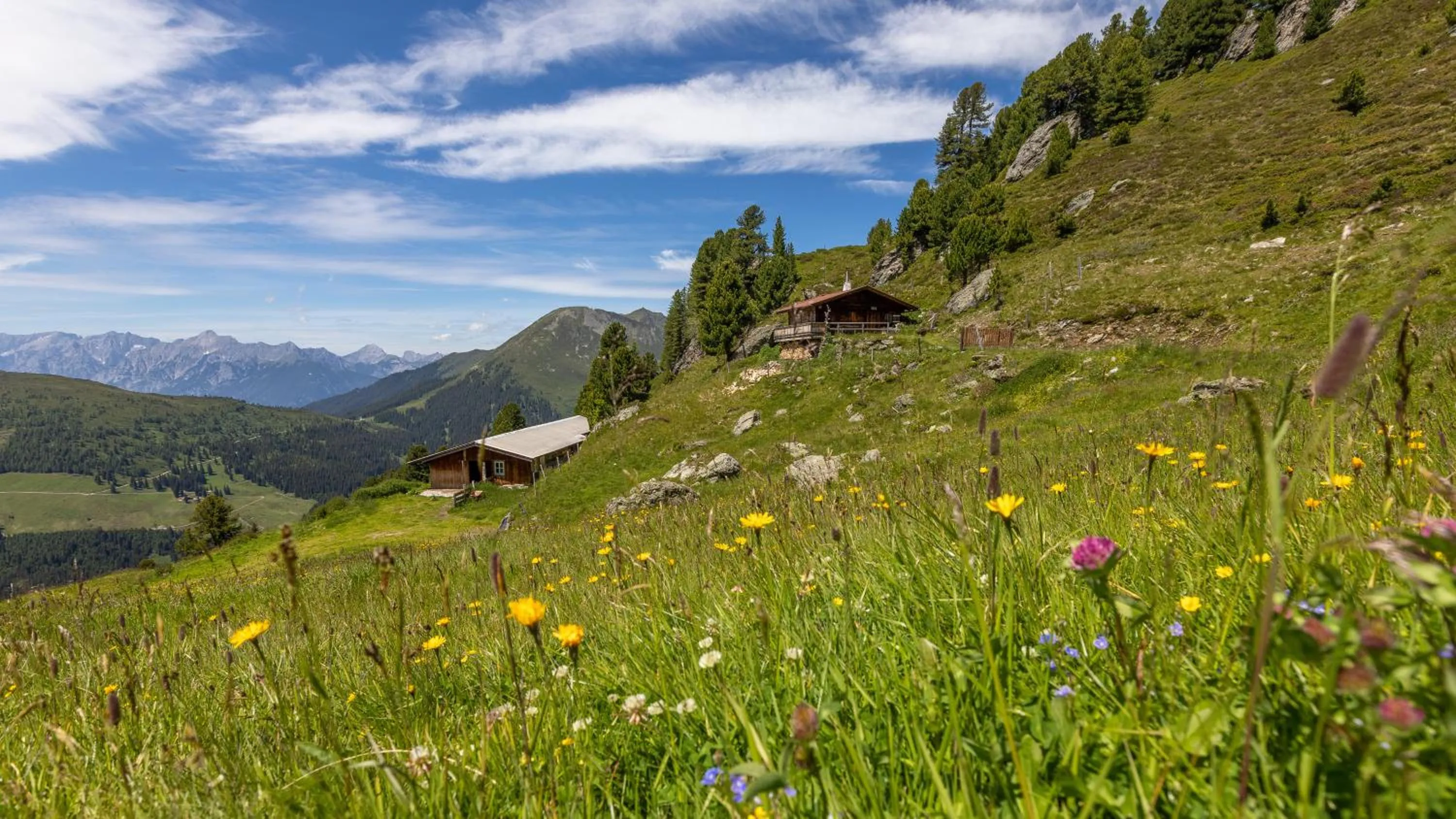 Natural landscape in Ibex Apart