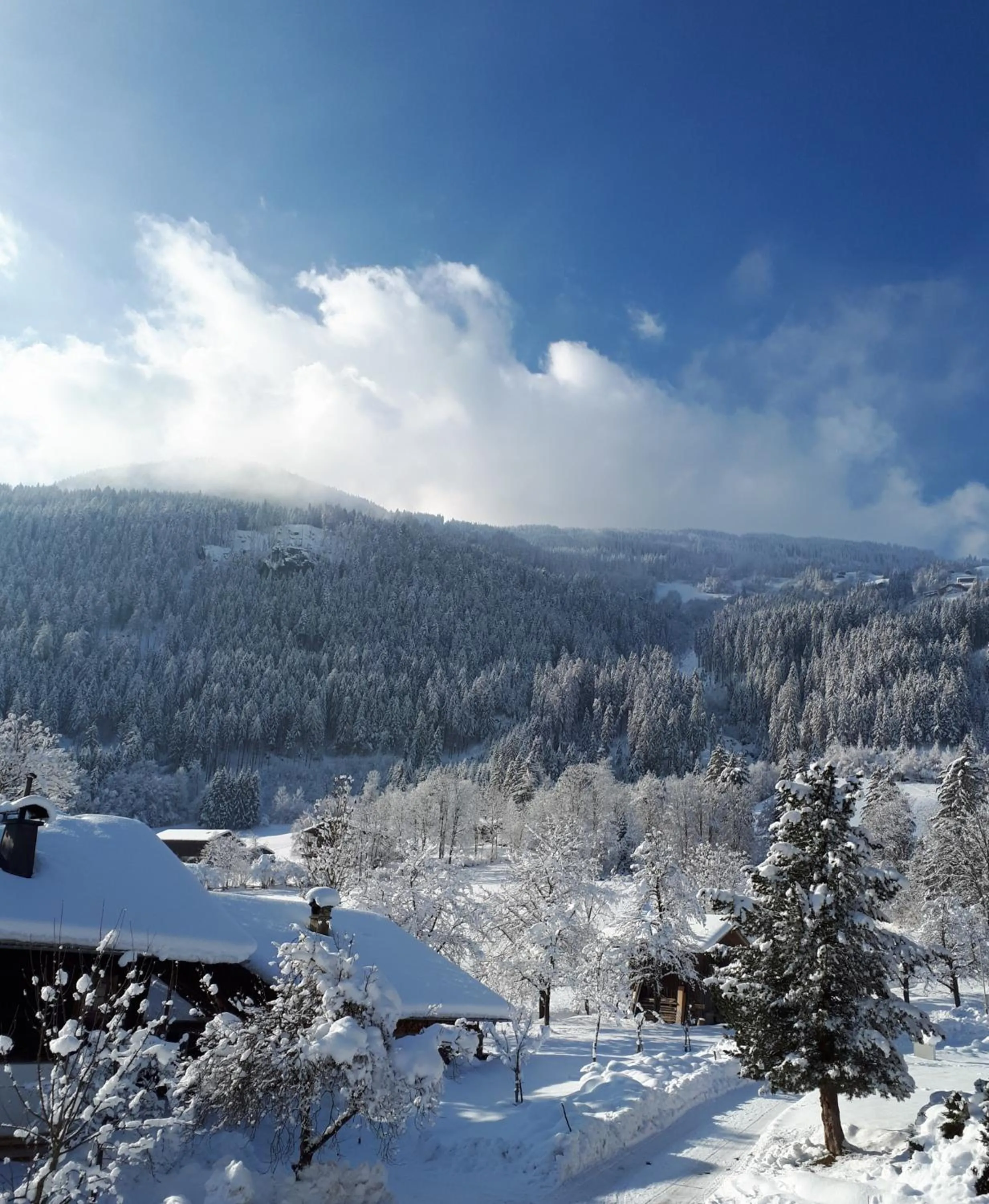 Natural landscape in Ibex Apart
