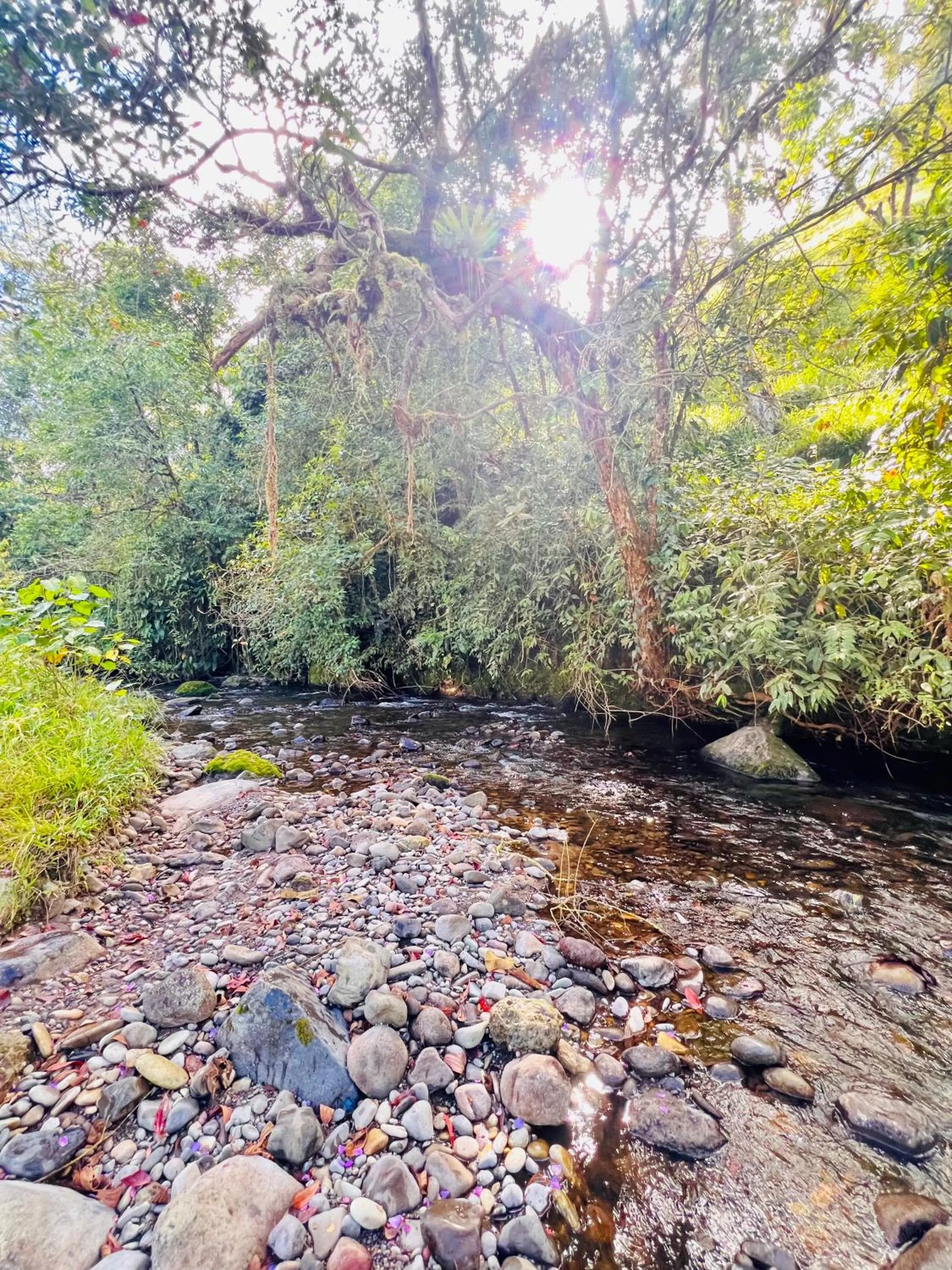 Hotel Reserva Monarca