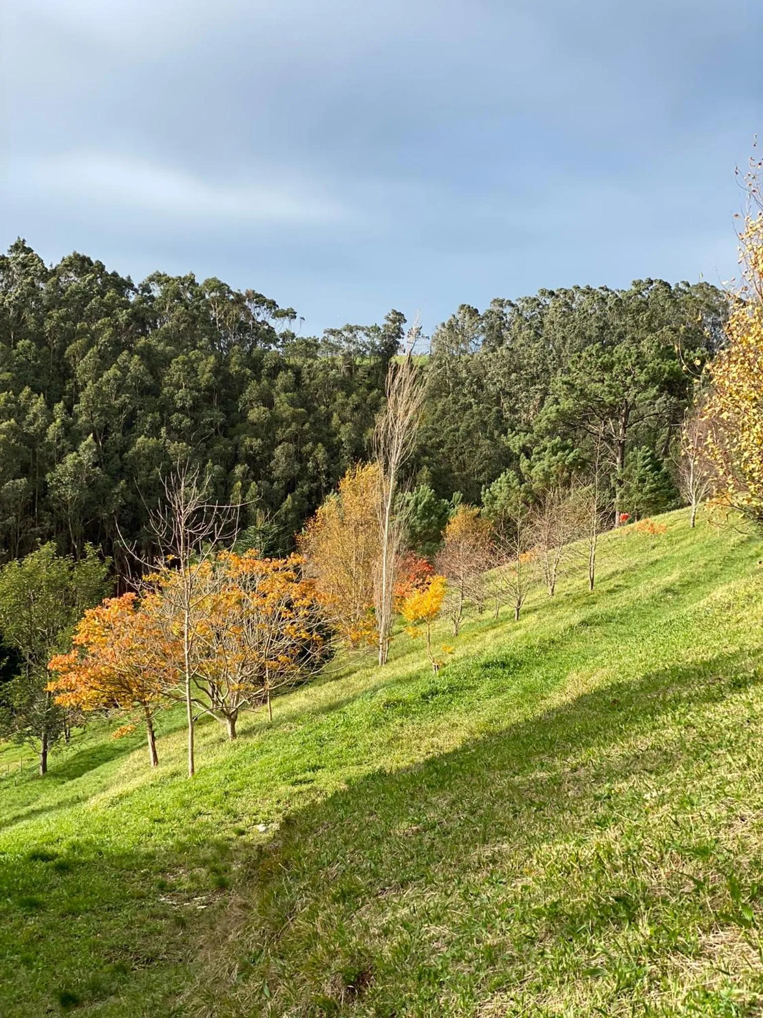 Garden in Finca Portizuelo