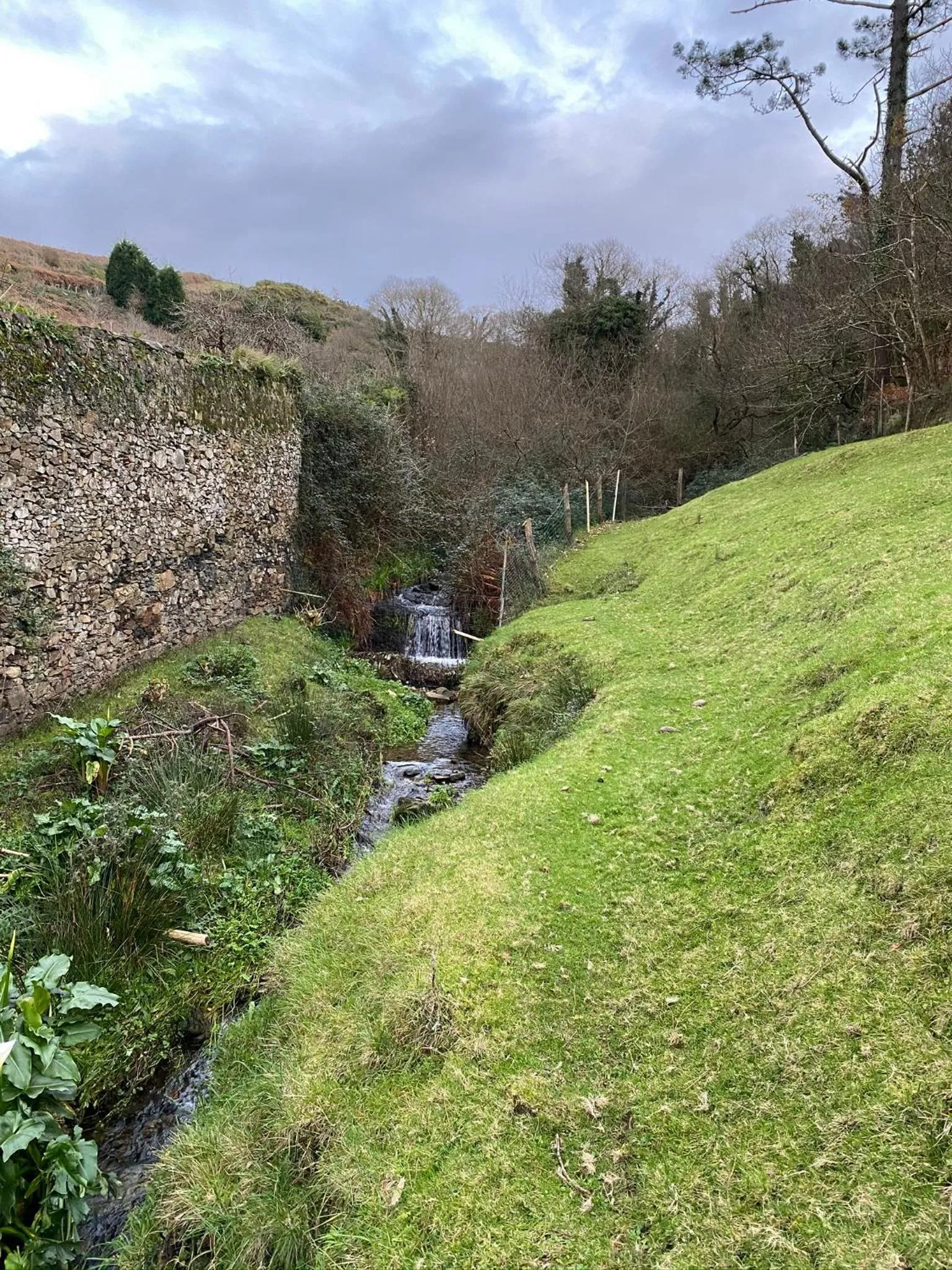 Garden in Finca Portizuelo