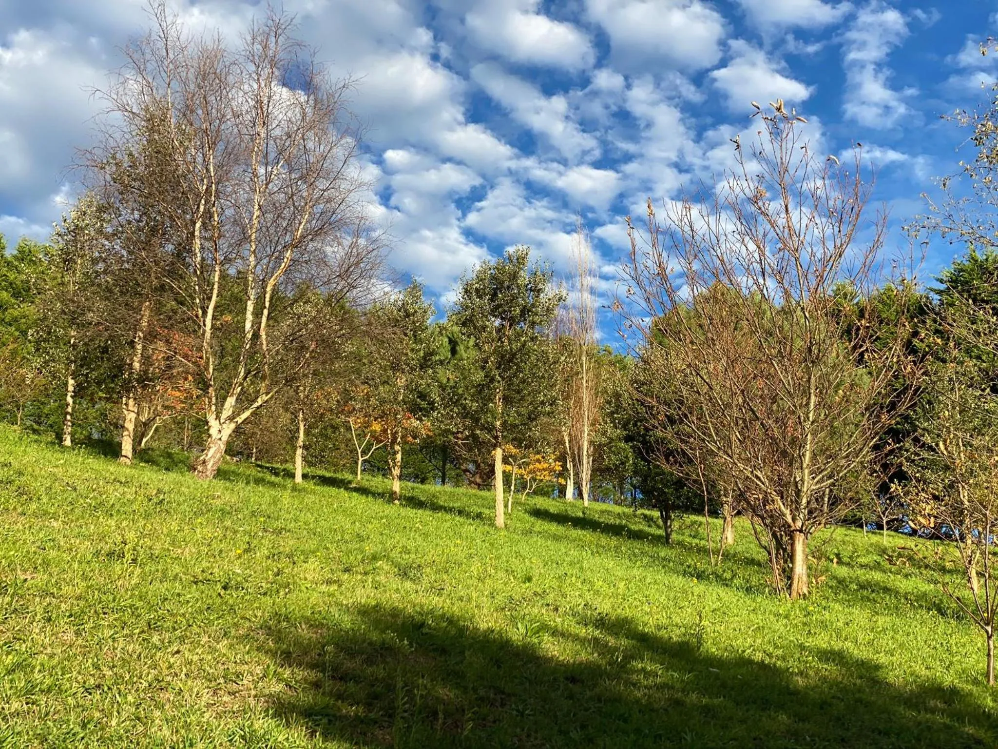 Garden in Finca Portizuelo