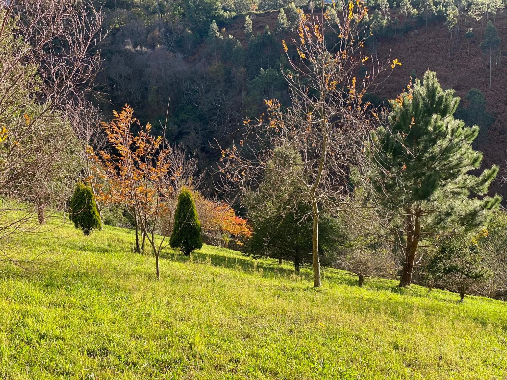 Garden in Finca Portizuelo