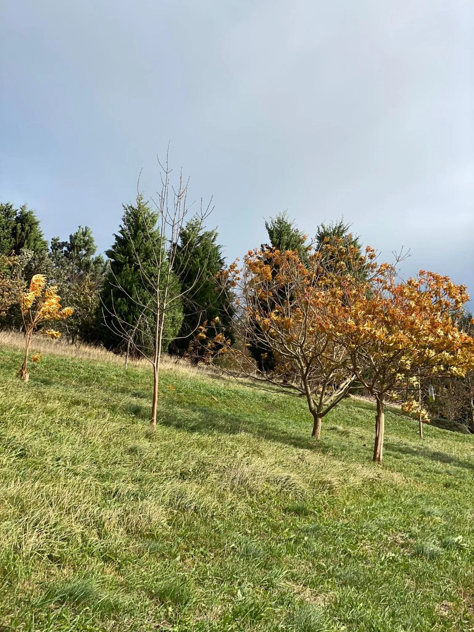 Garden in Finca Portizuelo