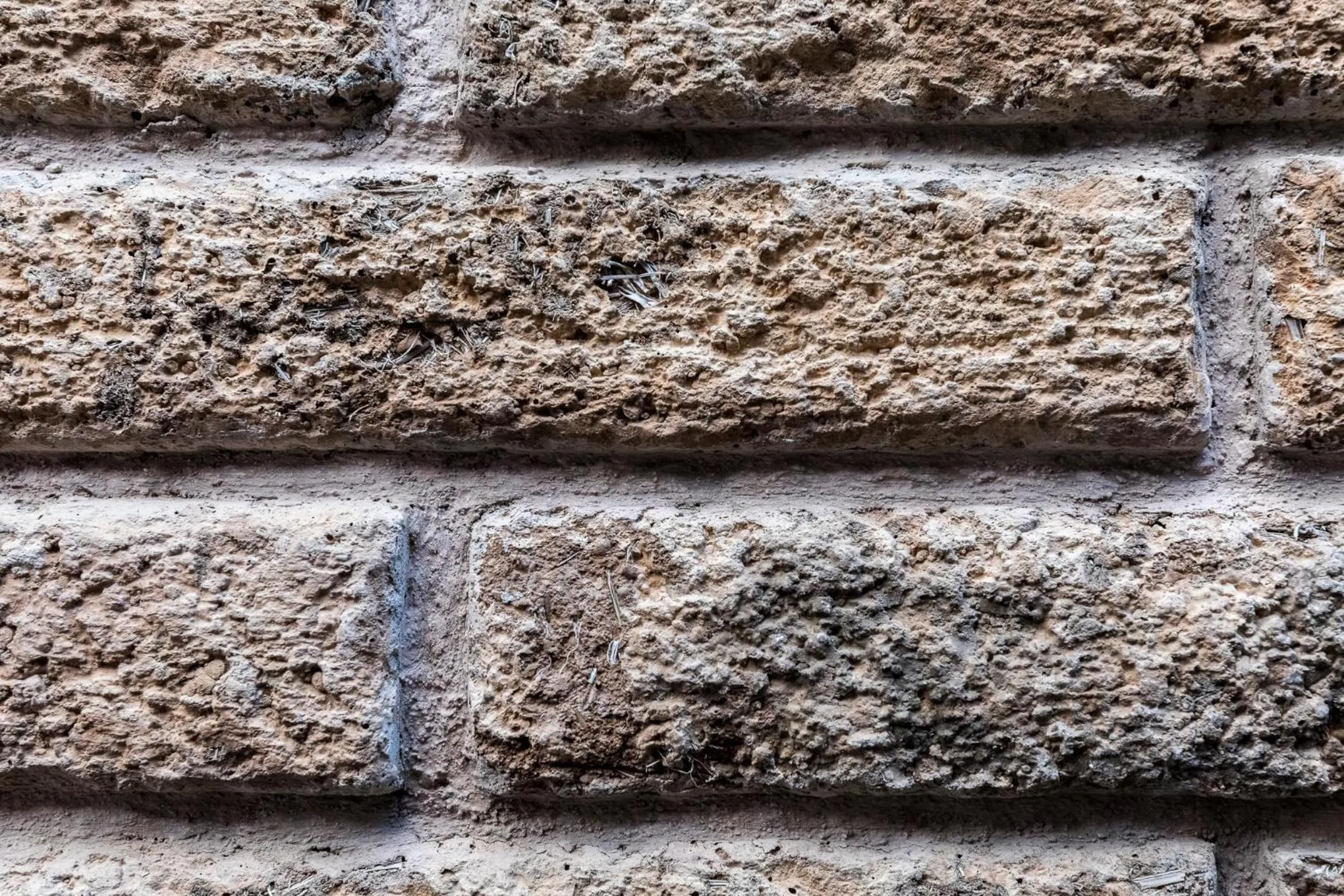 Area and facilities in Marialicia Suites, Hotel Boutique