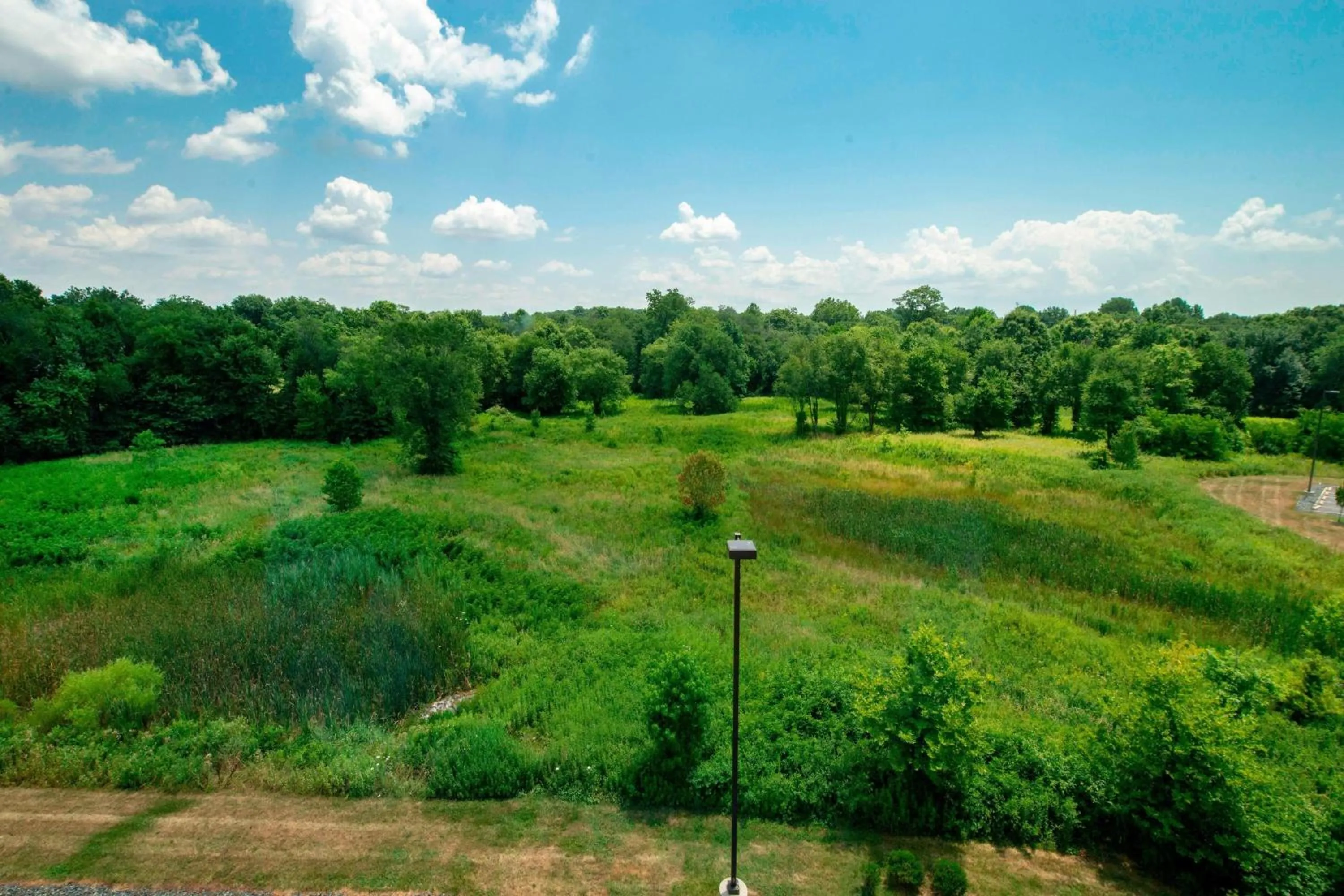 Photo of the whole room in Four Points by Sheraton Newark Christiana Wilmington