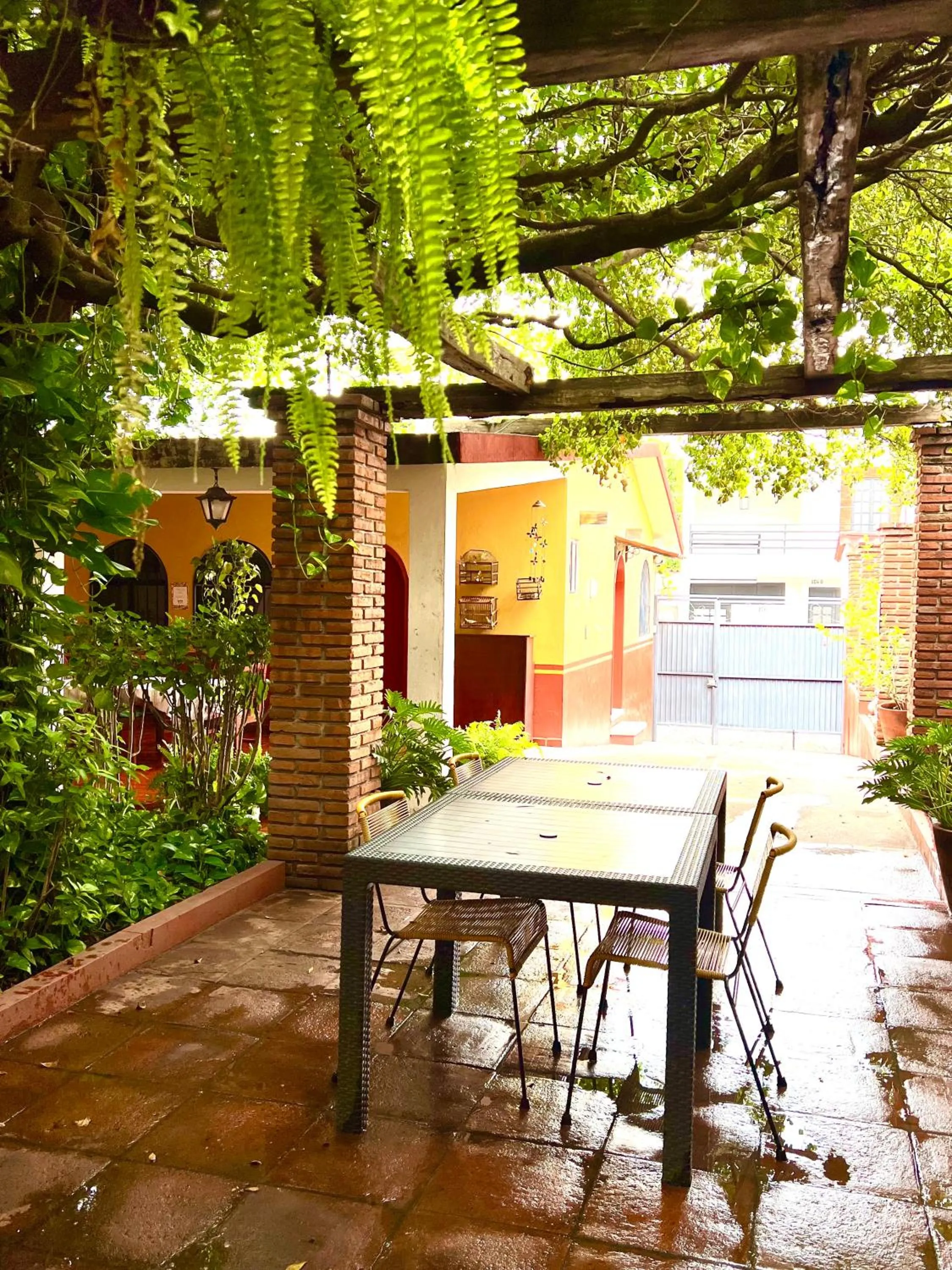 Garden in Hotel Casa Alvarada