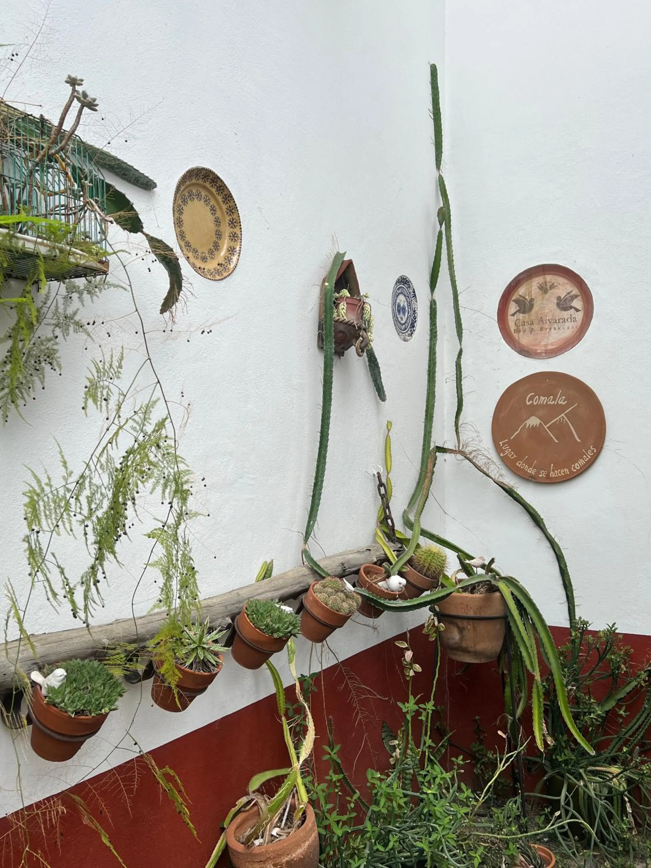 Lobby or reception in Hotel Casa Alvarada