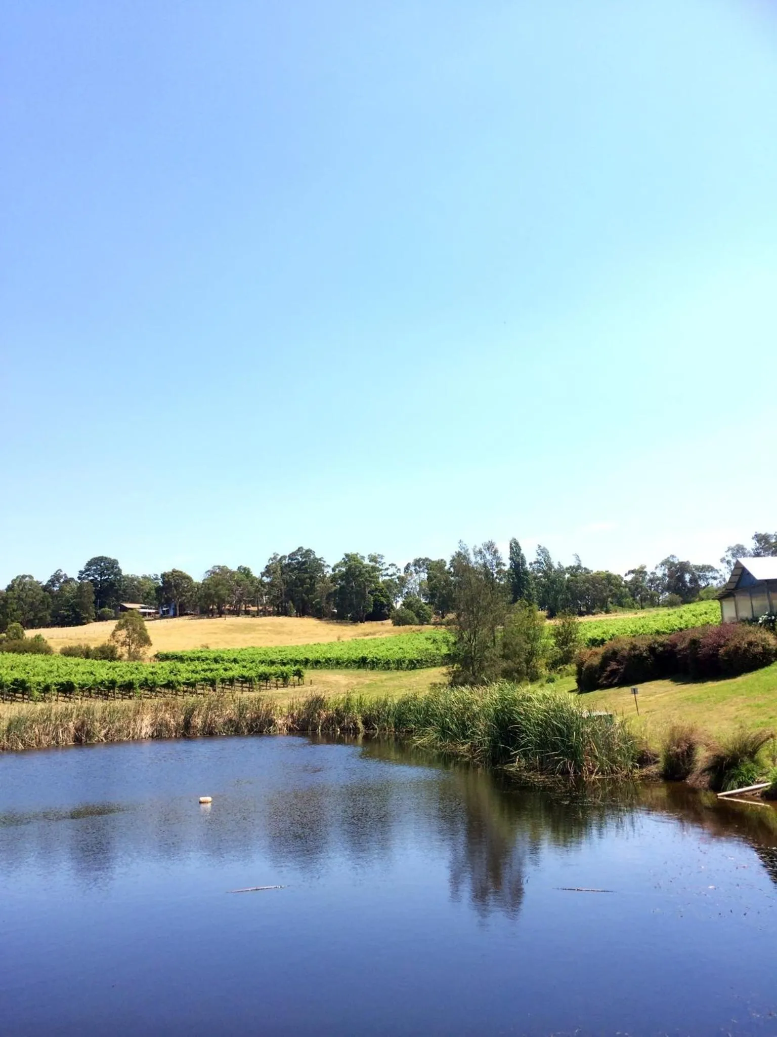 Day in Seville Estate