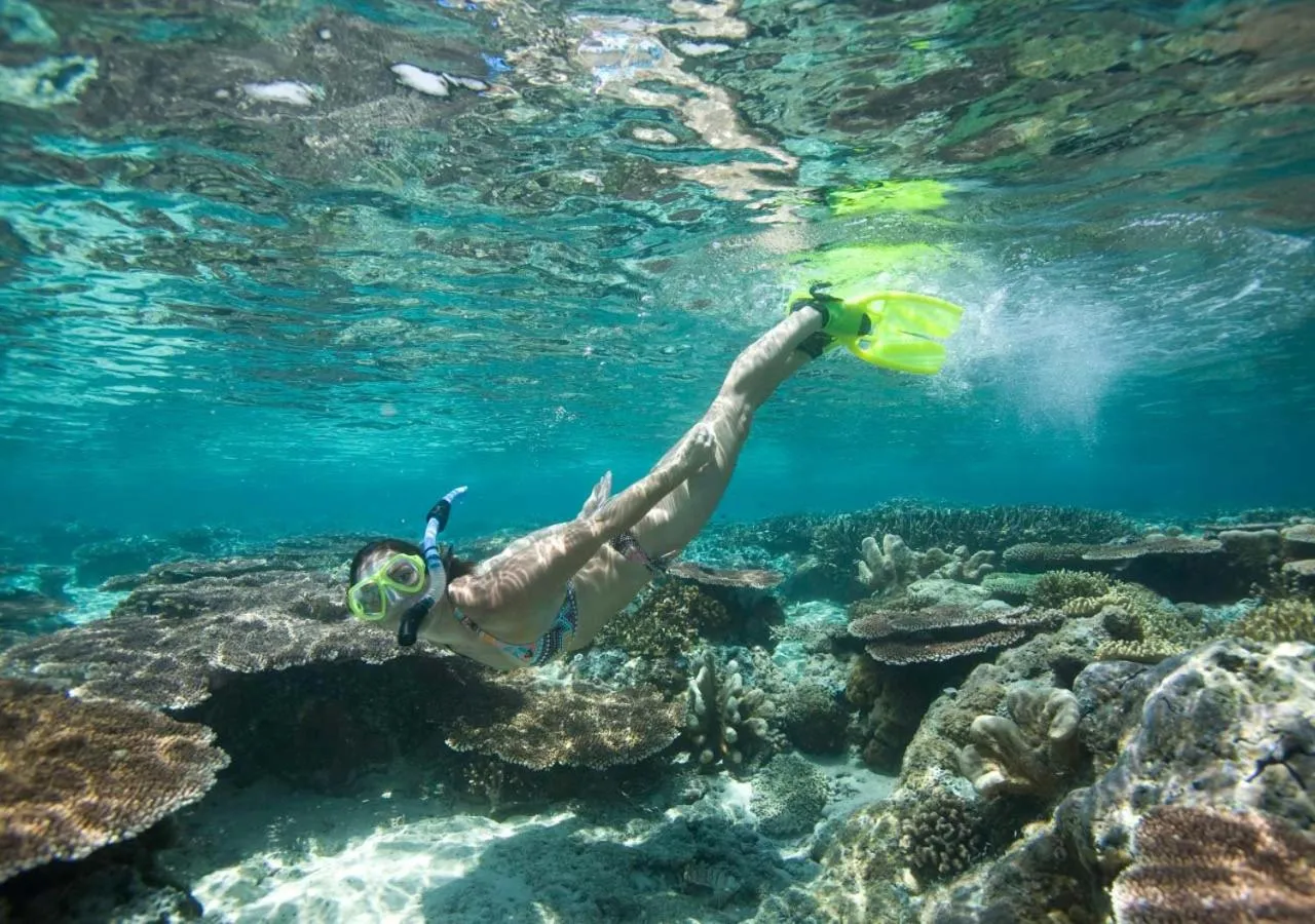Snorkeling in Tioman Dive Resort