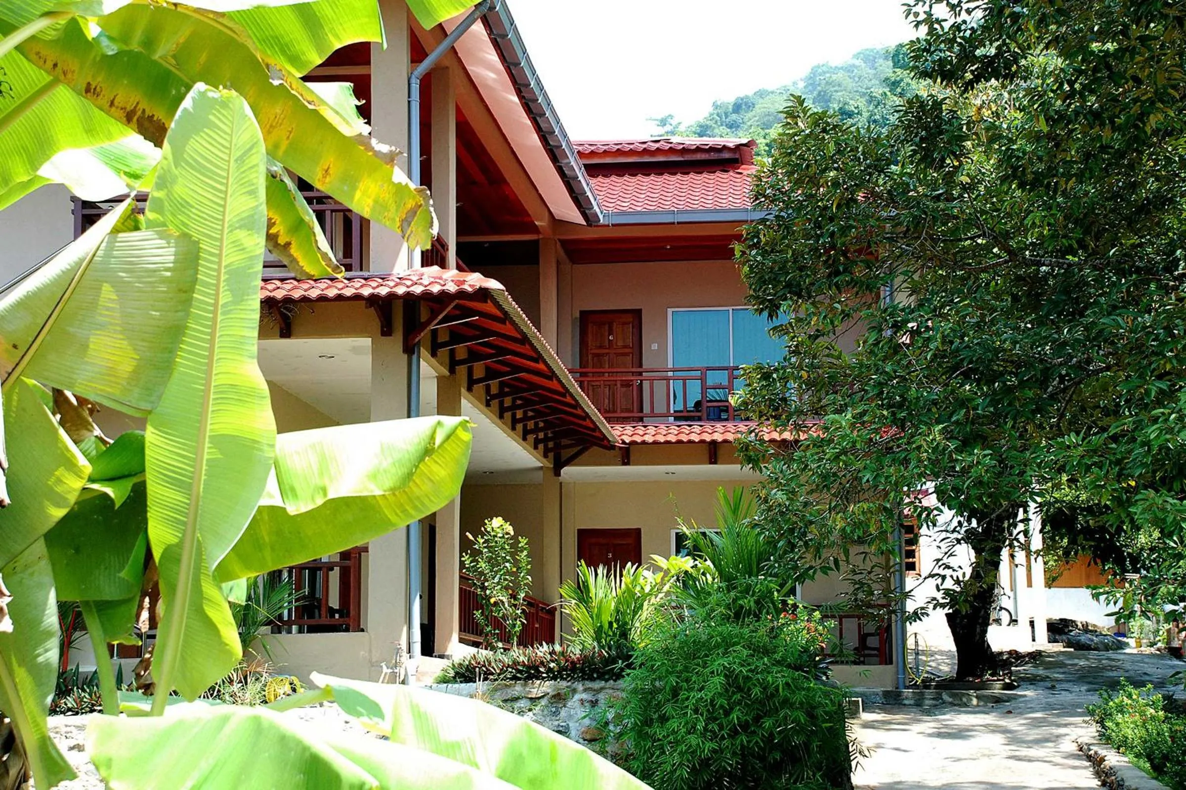 Property building in Tioman Dive Resort