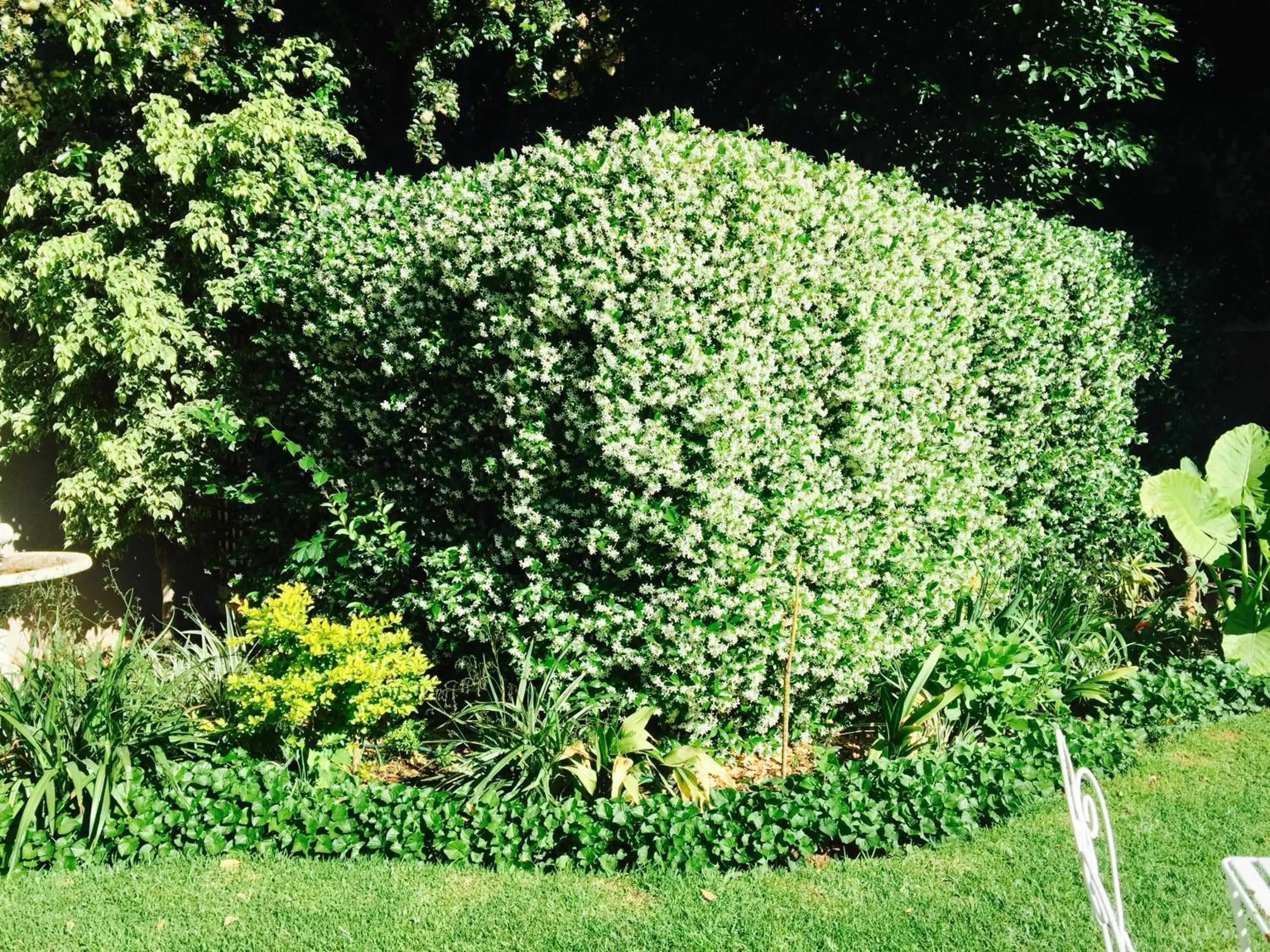 Garden view in Waterkloof Guest House