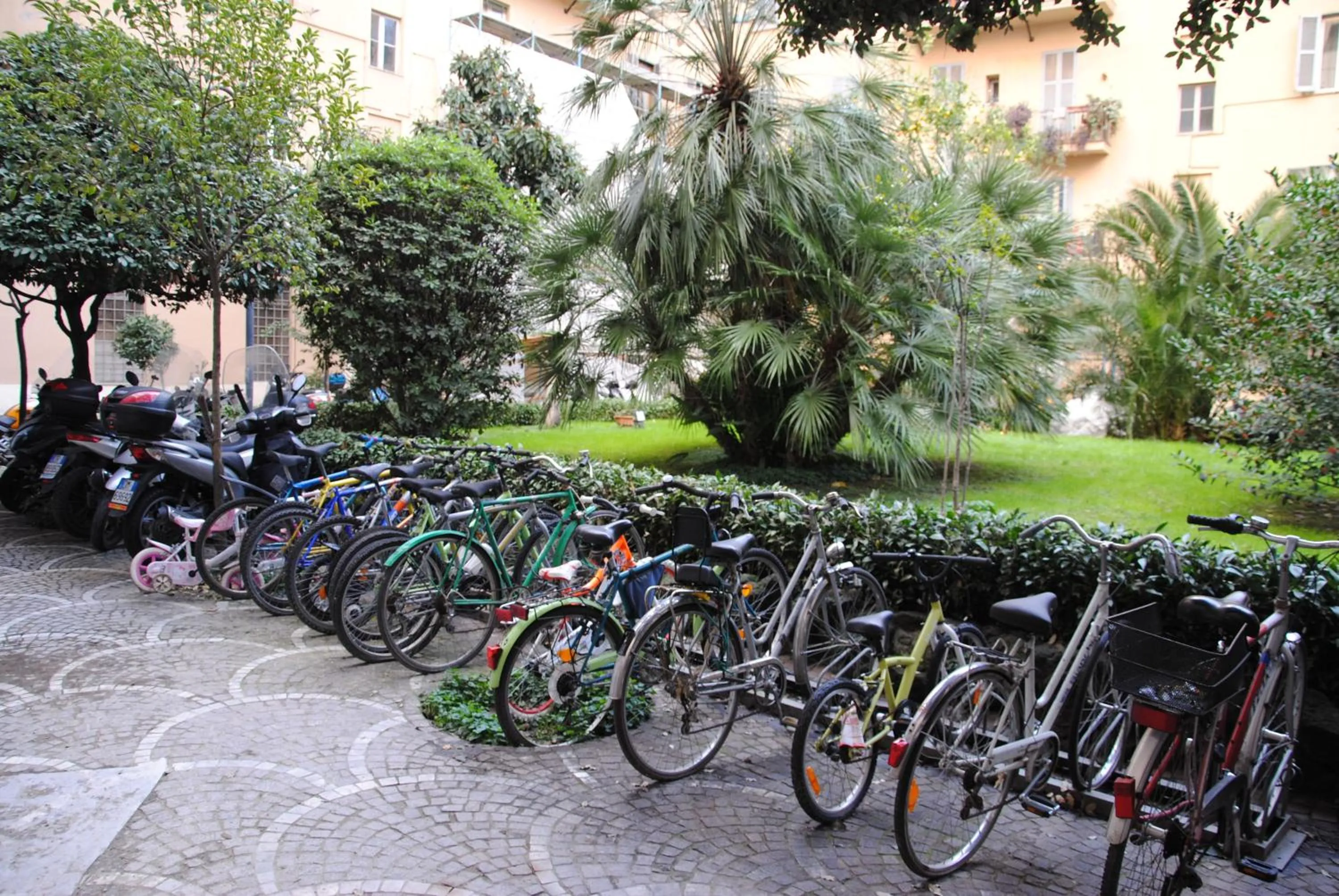 Garden in Vatican Leone IV