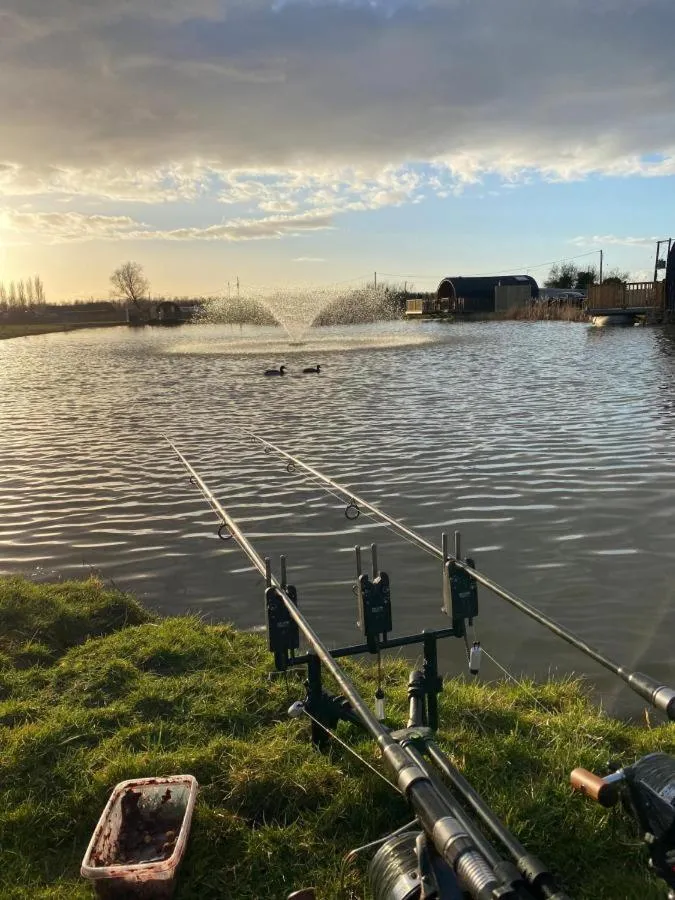 Natural landscape in The Firs Country Park