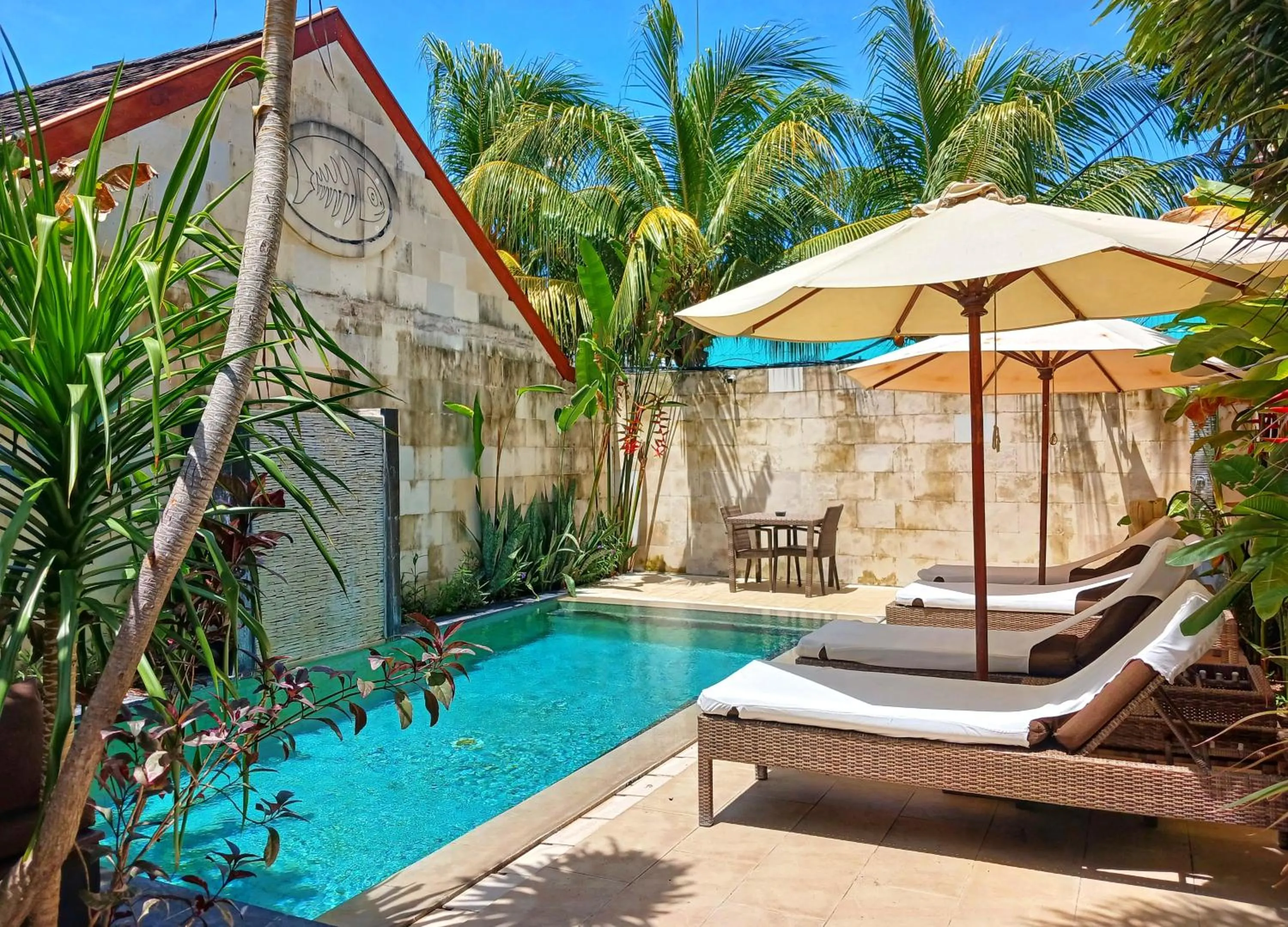 Scallywags Smugglers