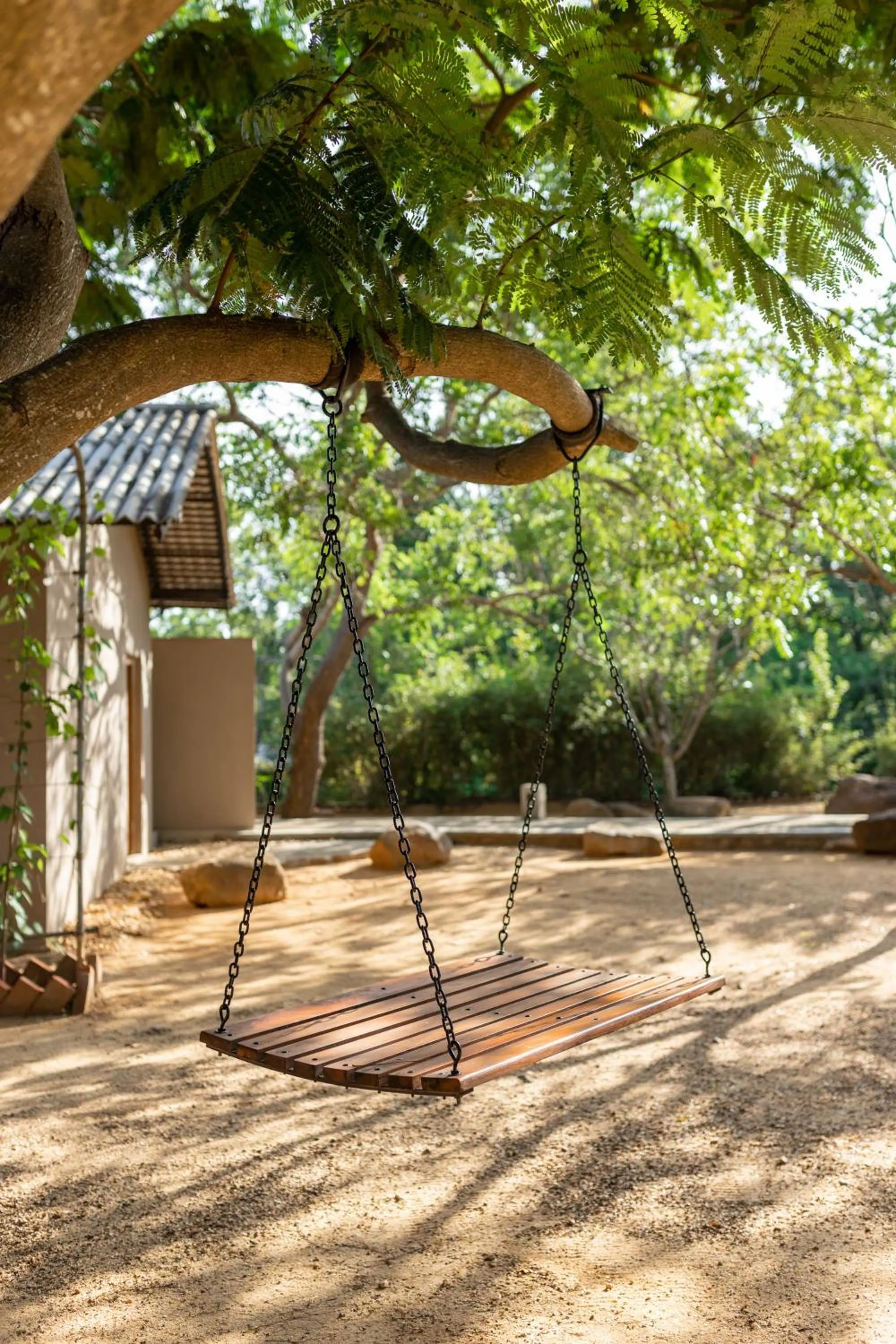 Garden in Koragaha Lodge - Yala