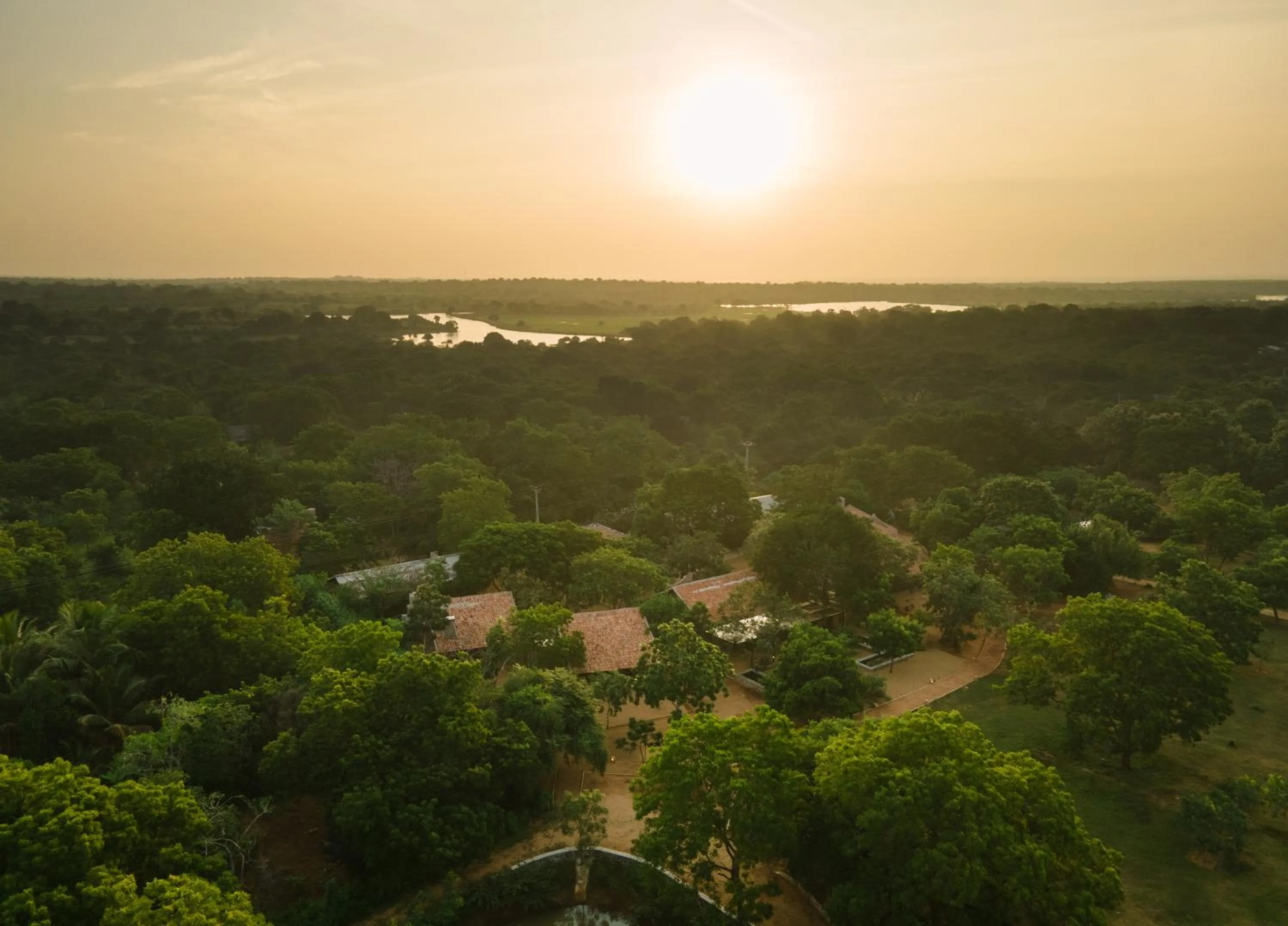 Bird's eye view in Koragaha Lodge - Yala