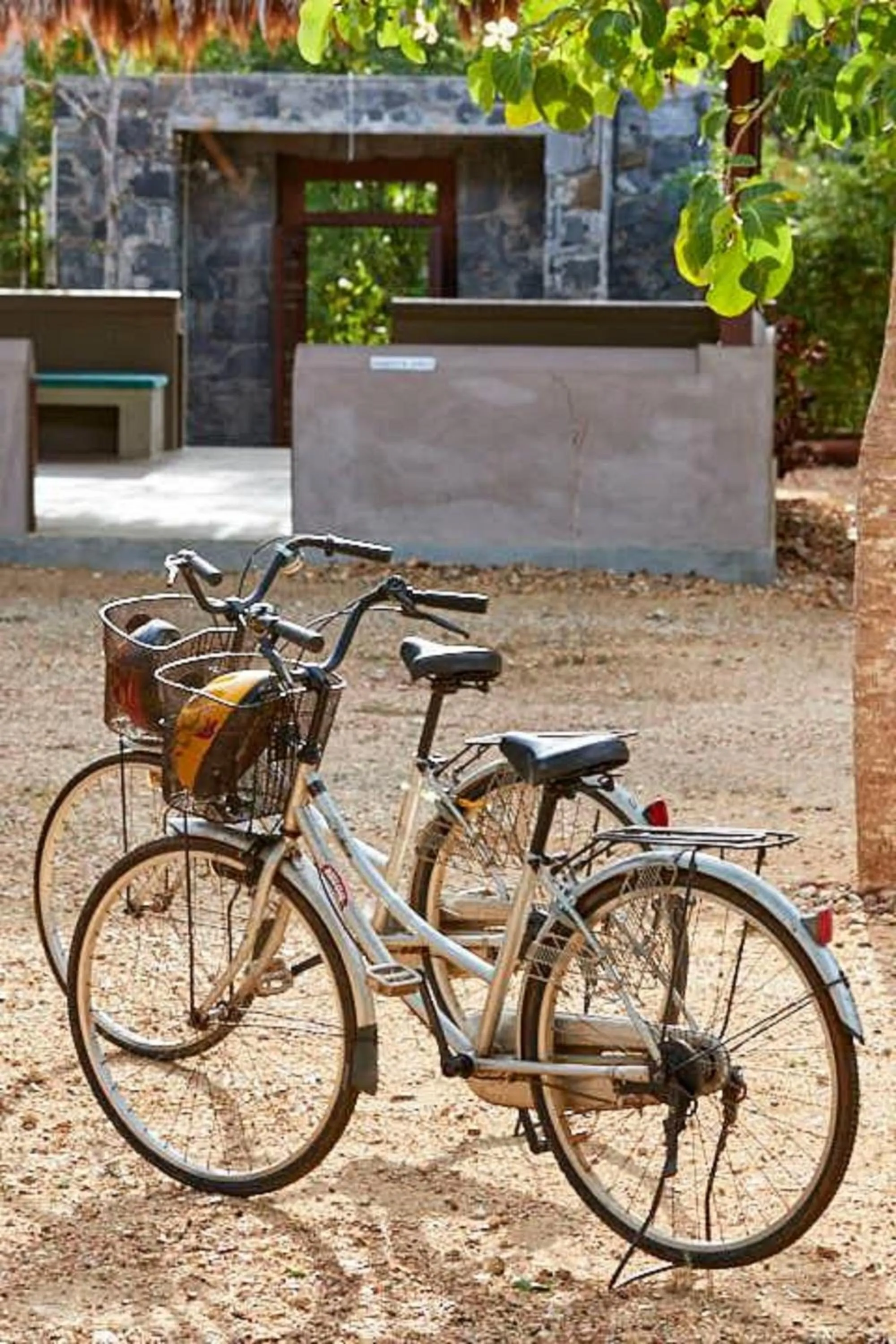 Cycling in Koragaha Lodge - Yala