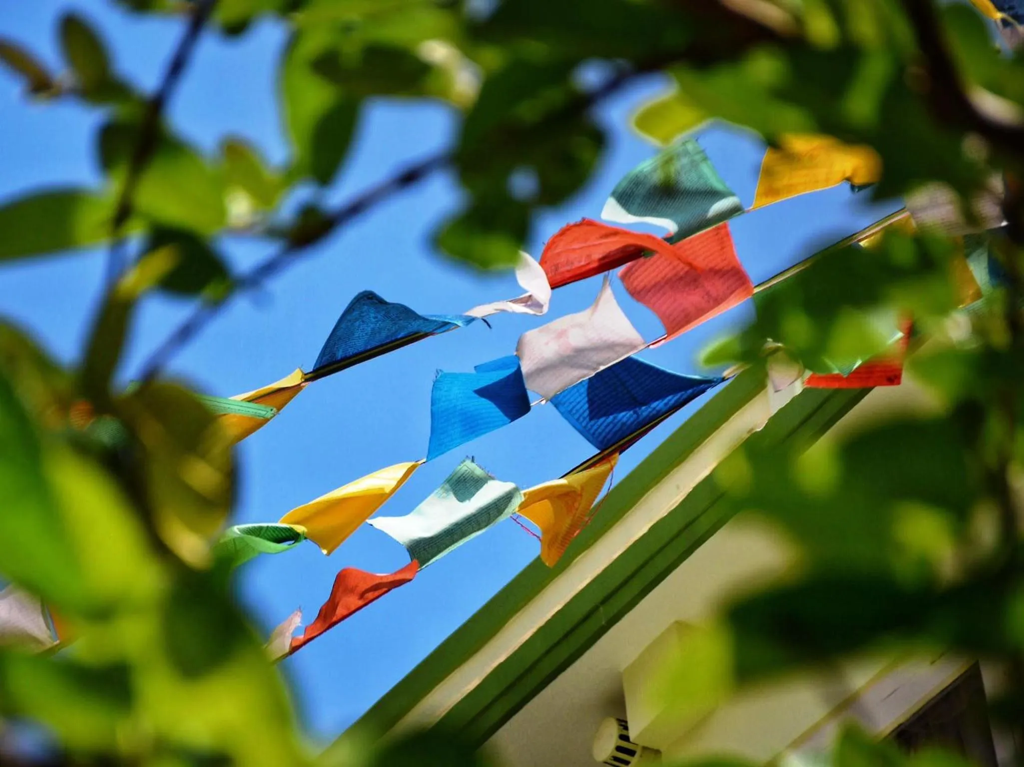 Decorative detail in Shakya House