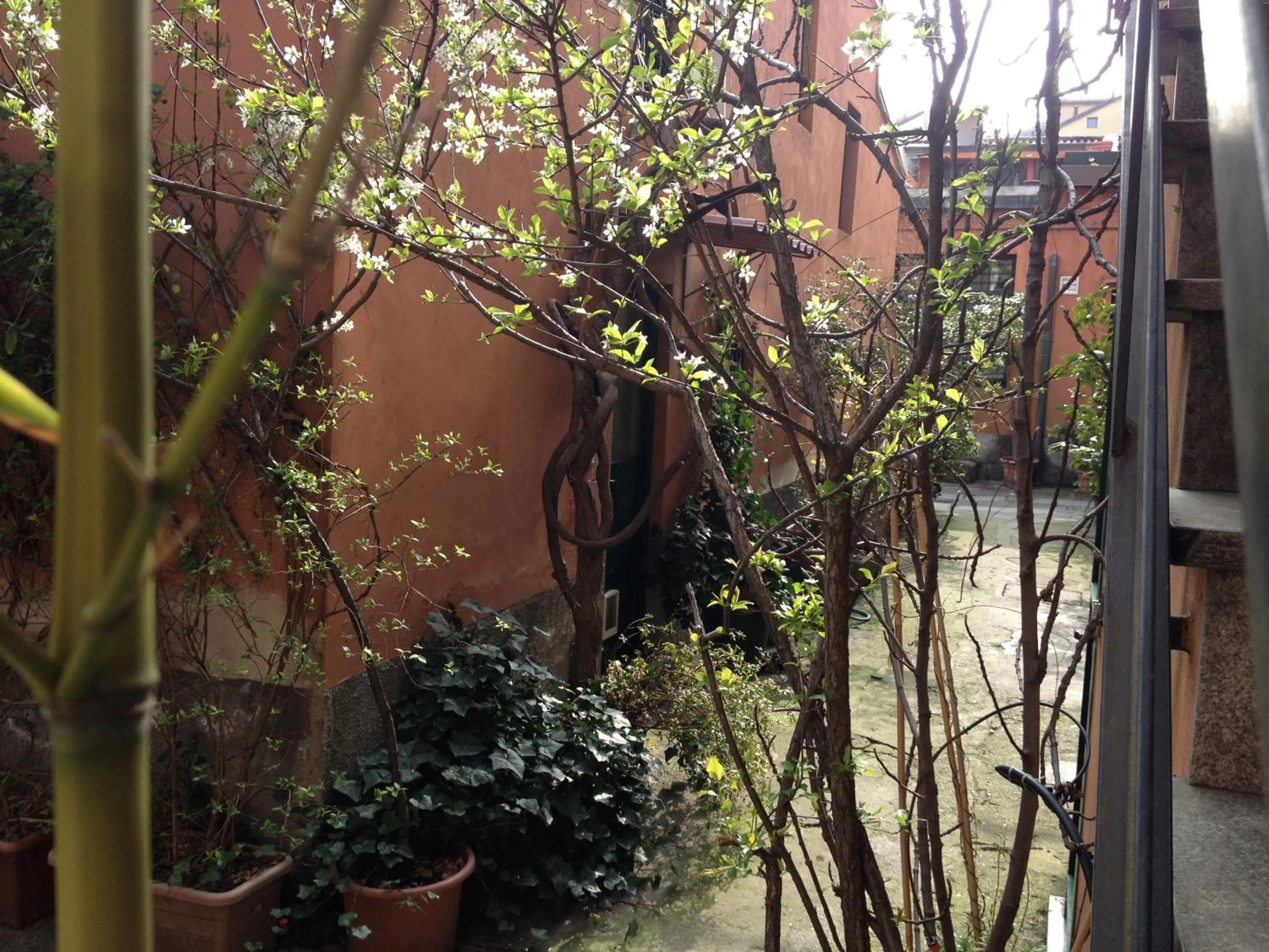 Garden view in Residenza Fiori di Grano