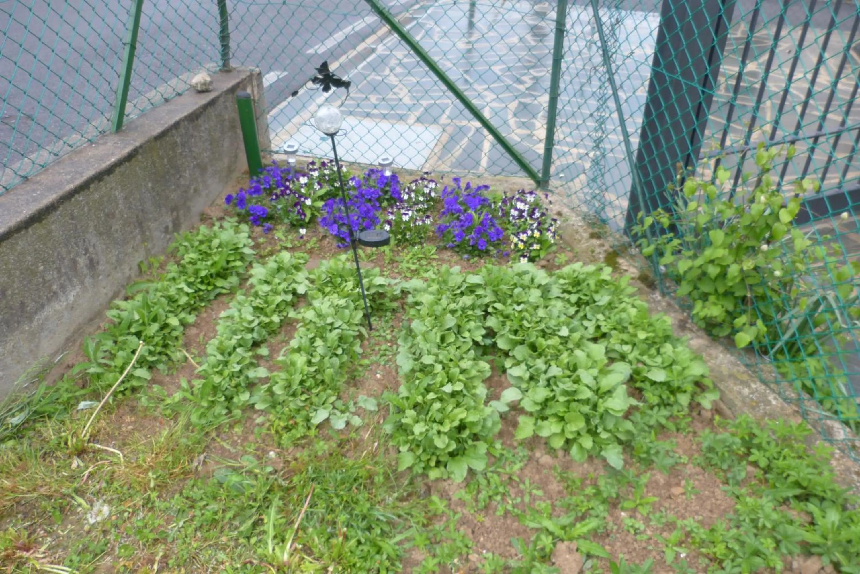 Garden in B & B Ametista Bergamo