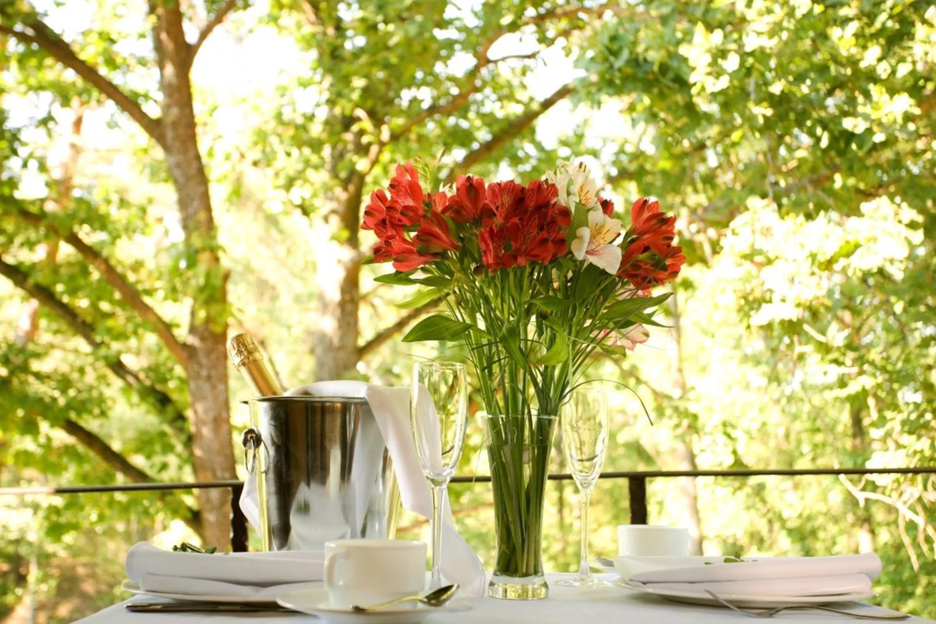 Restaurant/places to eat in Dzūkijos dvaras