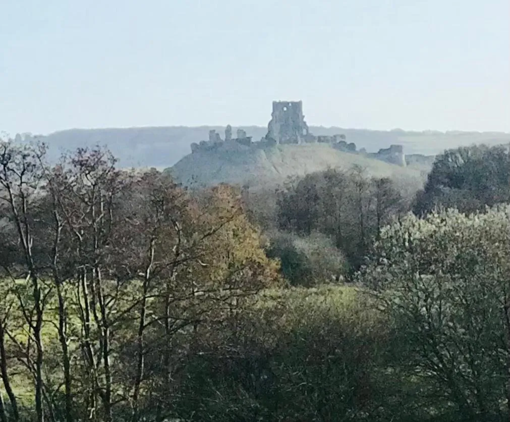 Neighbourhood in Arbour House B&B